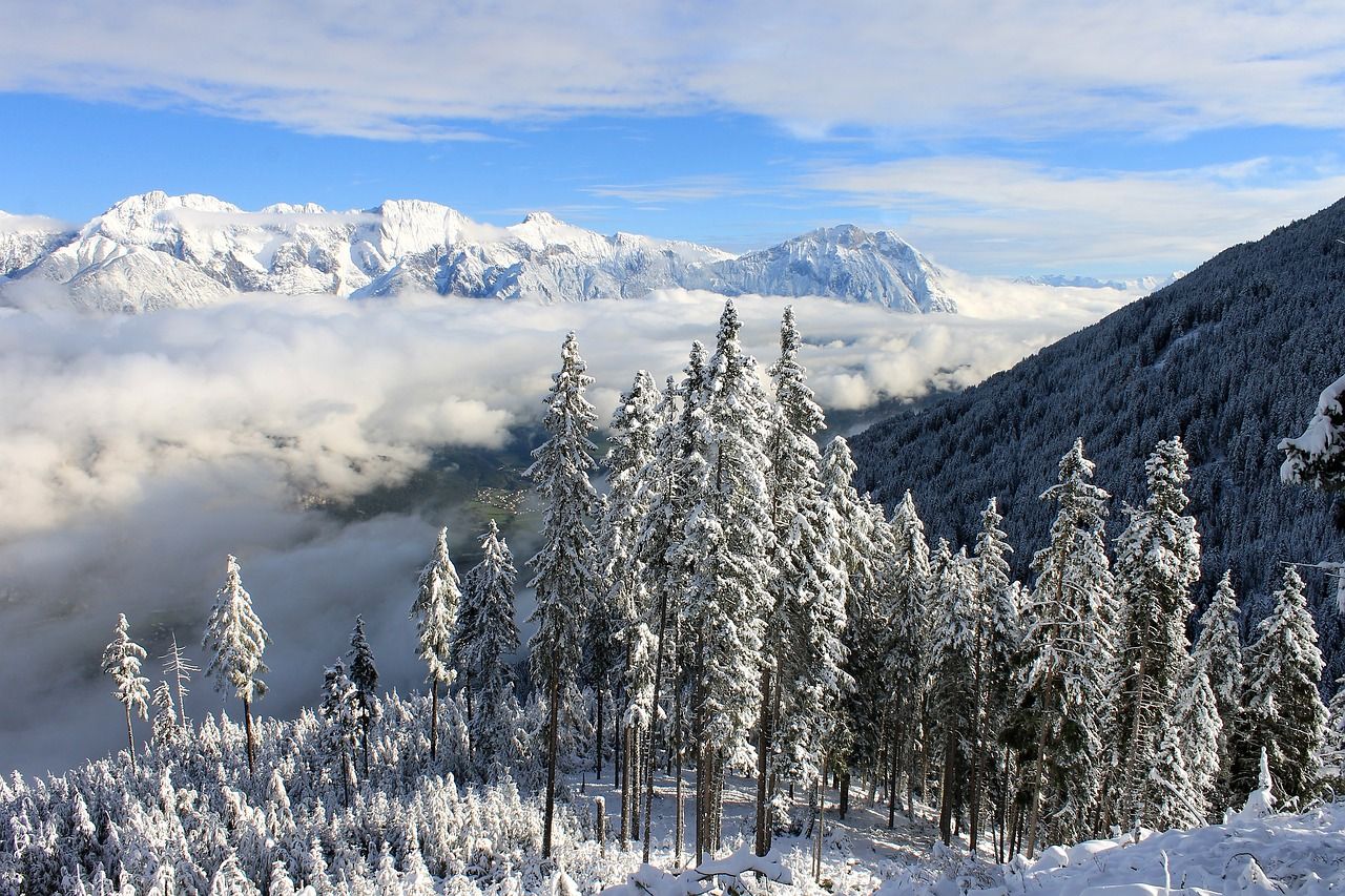 Snowy Landscape Winter