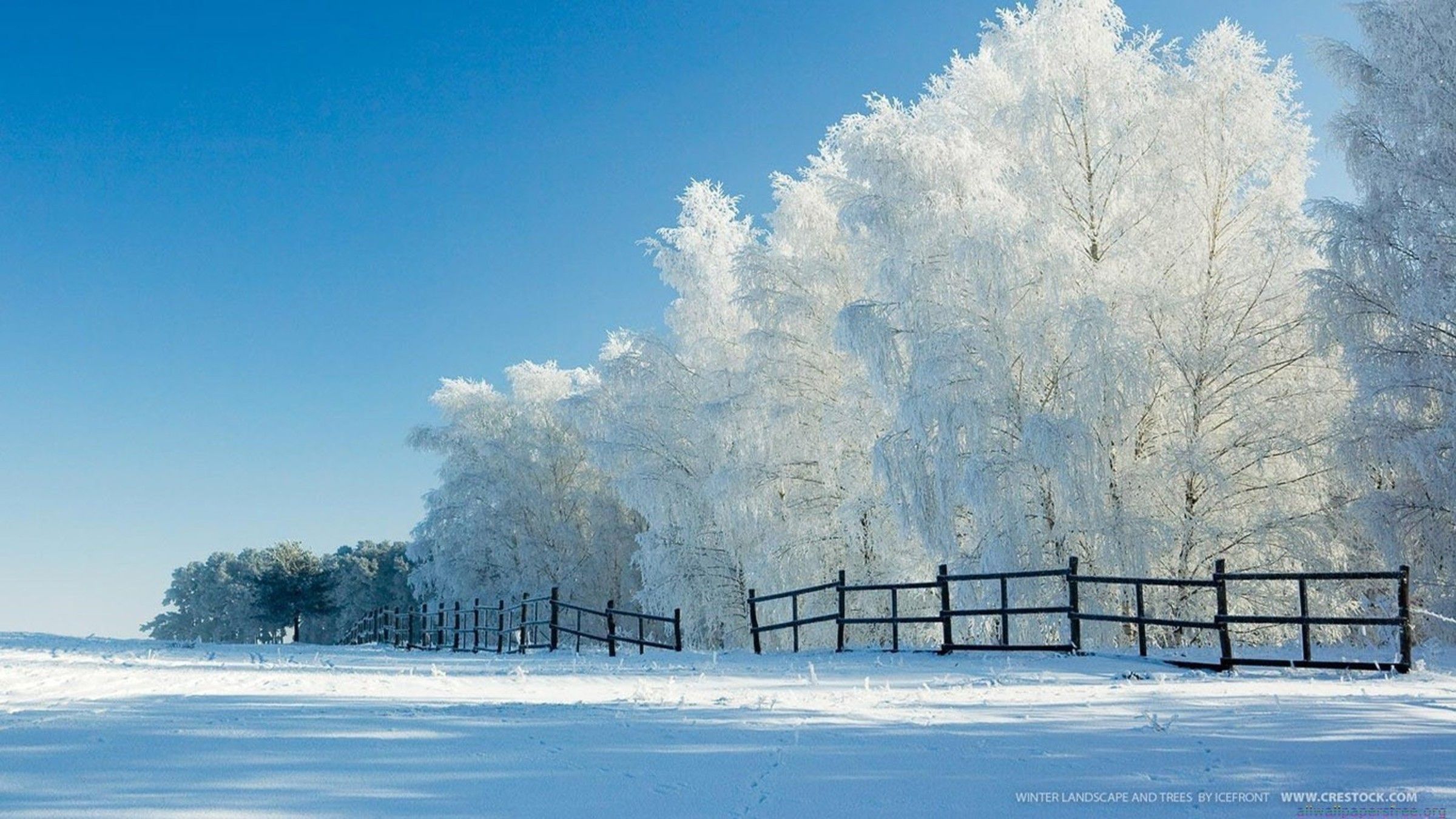 Winter Landscapes Wallpaper