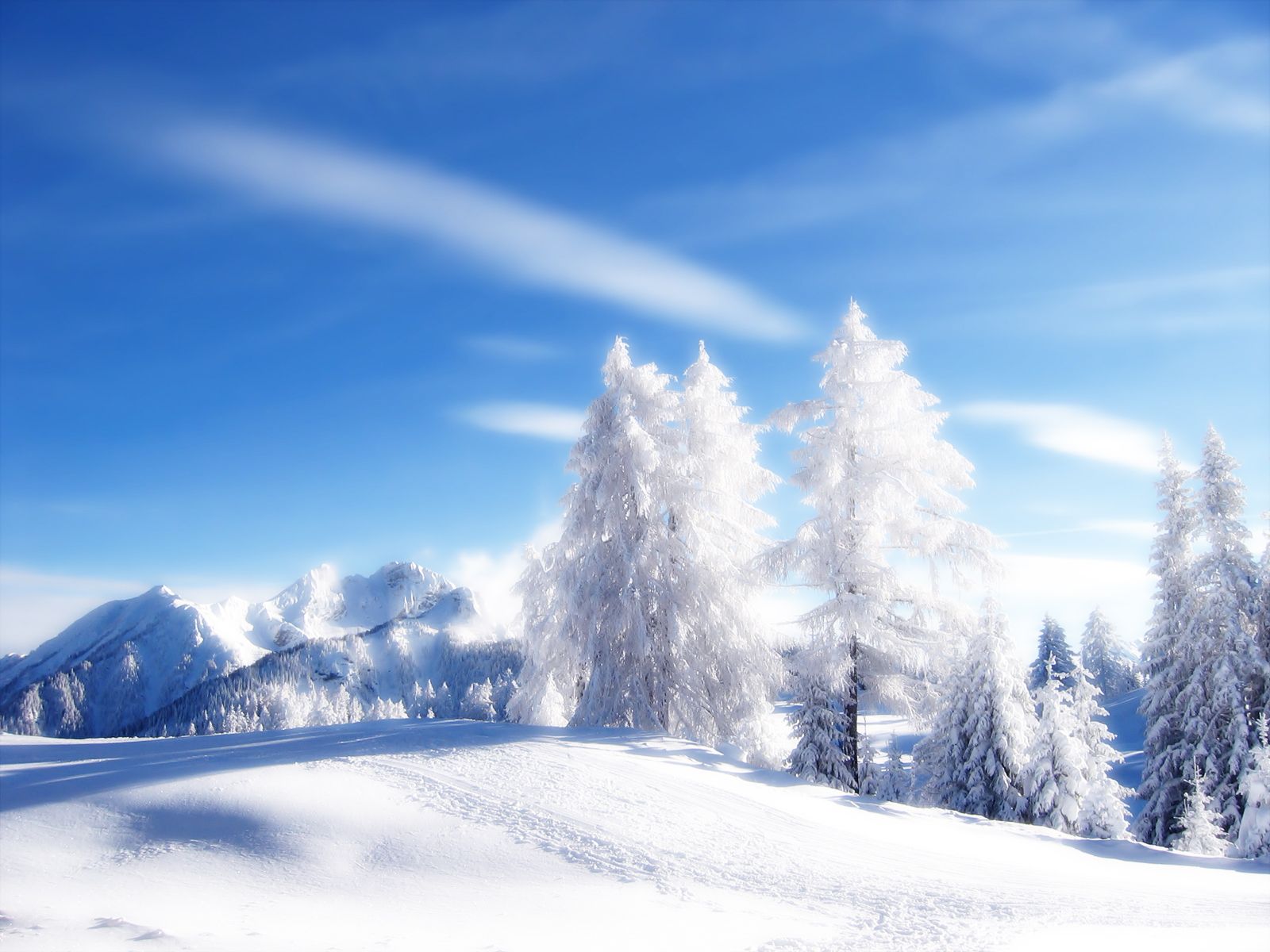 Snowy Landscapes Wallpaper