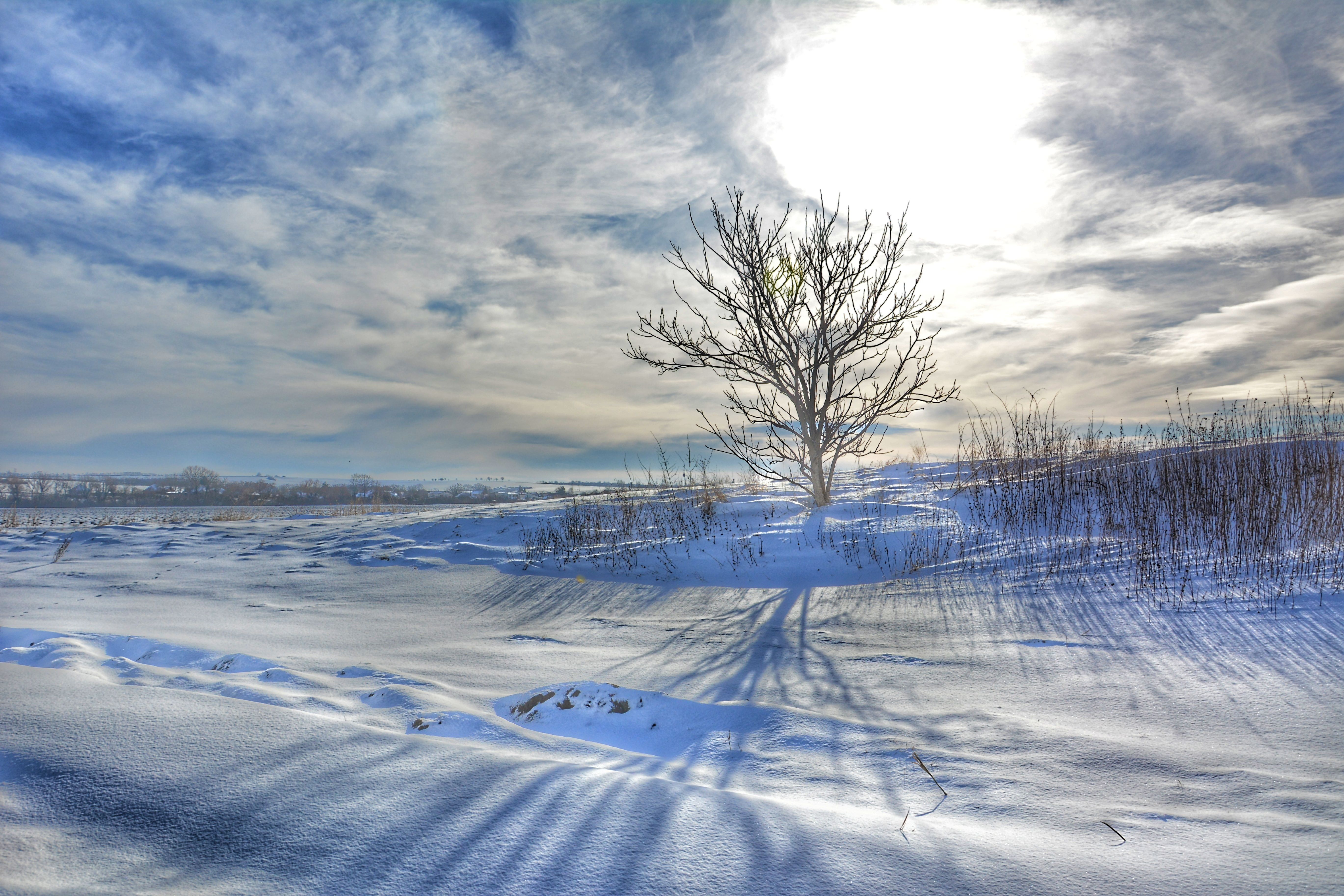 Free Image : water, horizon, branch, snow, cloud, sky, sunlight, morning, frost, daytime, ice, evening, reflection, calm, arctic, winter sun, tundra, freezing, slovakia, snowy landscape, meteorological phenomenon, lonely tree, atmosphere of earth