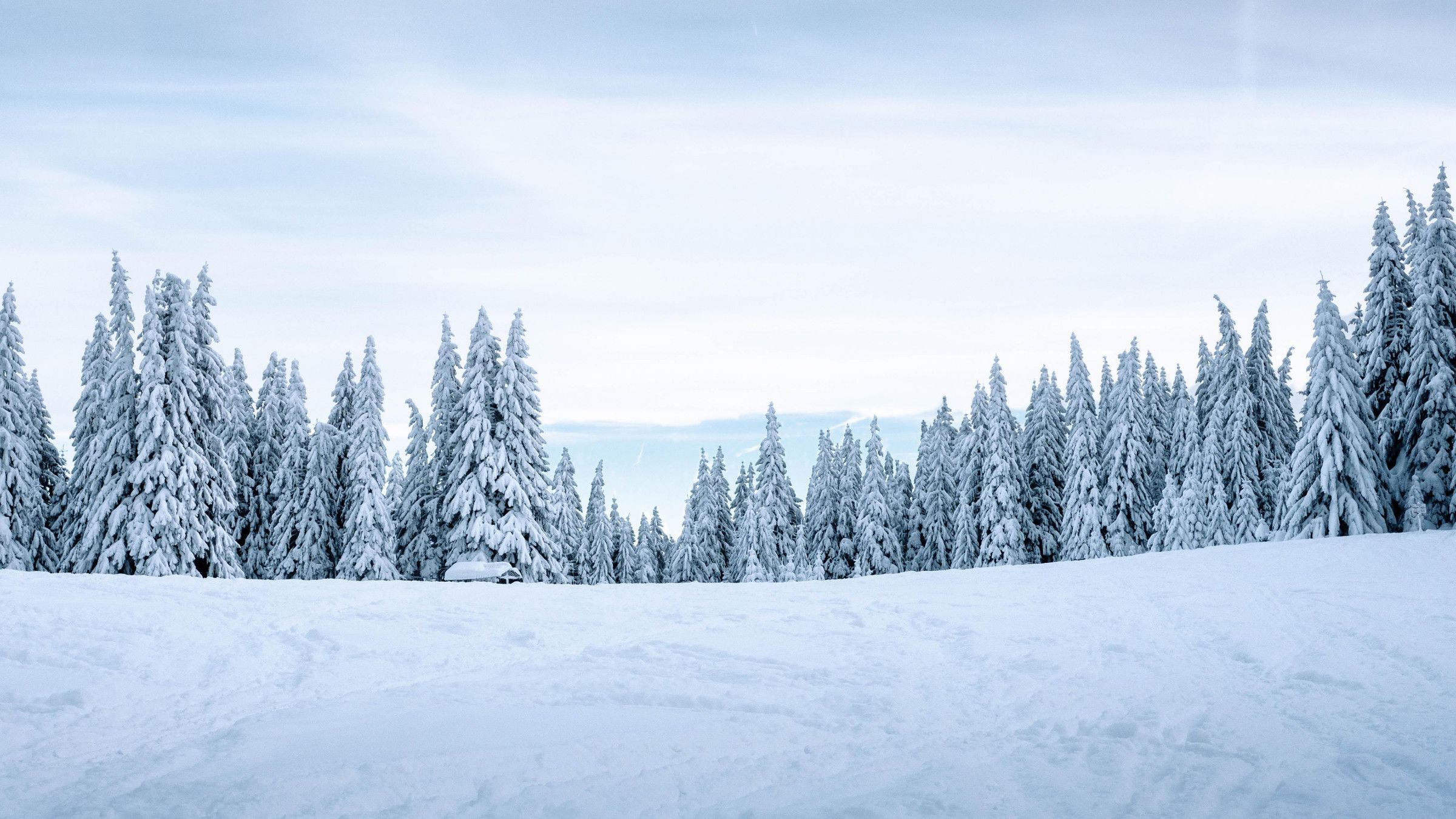 wallpaper snow, winter, trees, winter landscape, snowy HD : Widescreen : High Definition