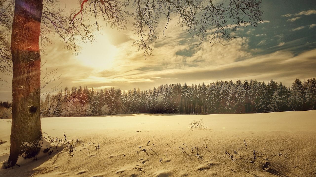 Winter Snow Landscape Nature