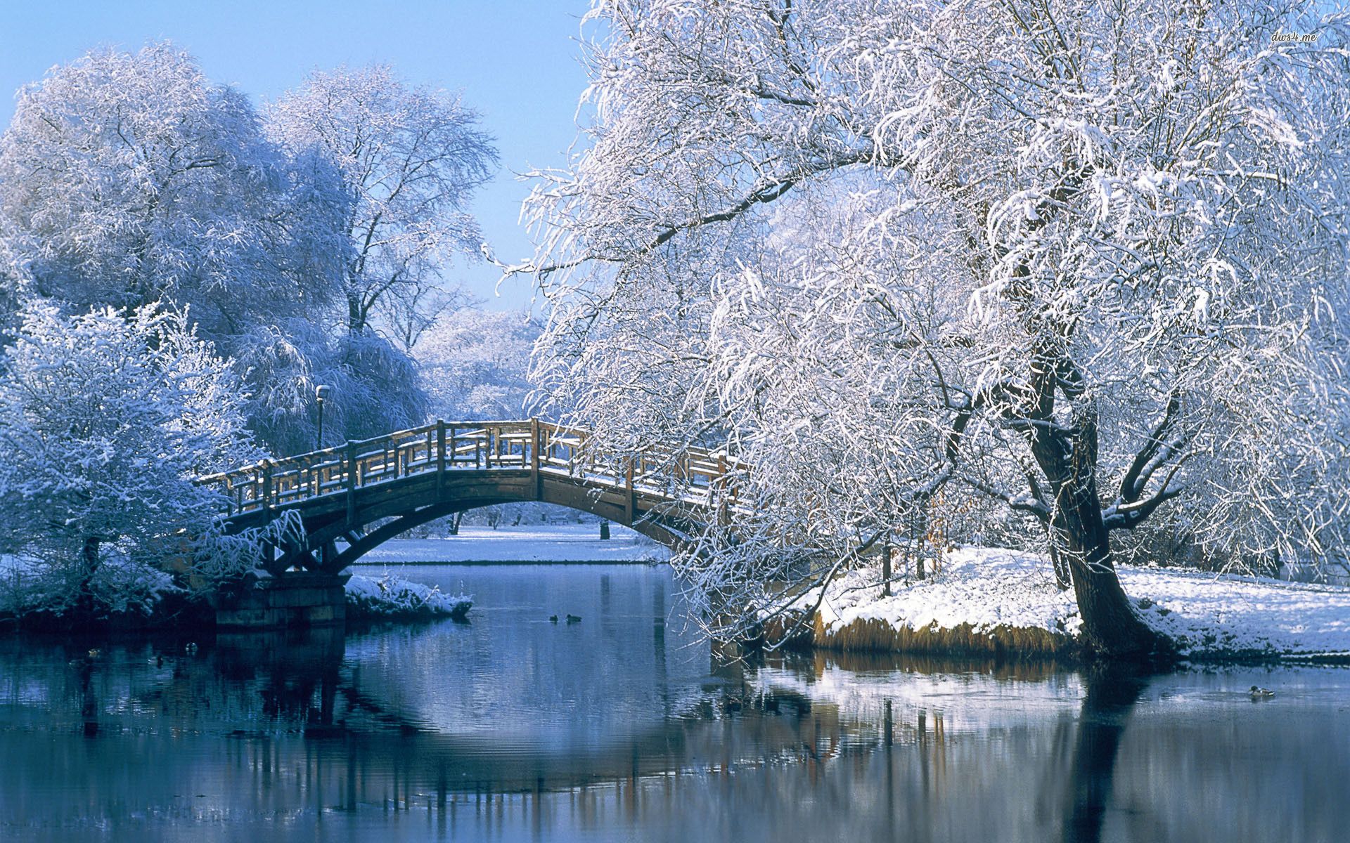 Winter Landscapes Wallpaper