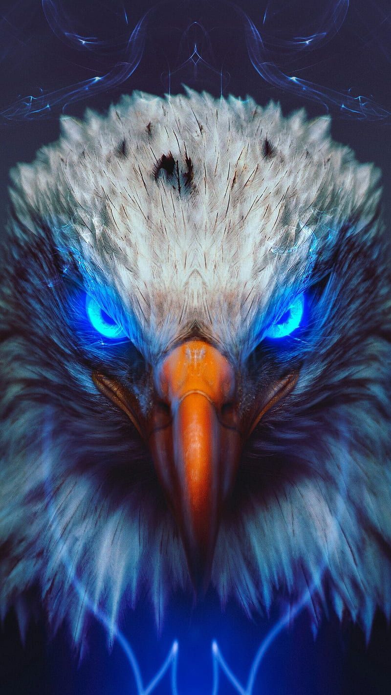 HD eagle wallpaper