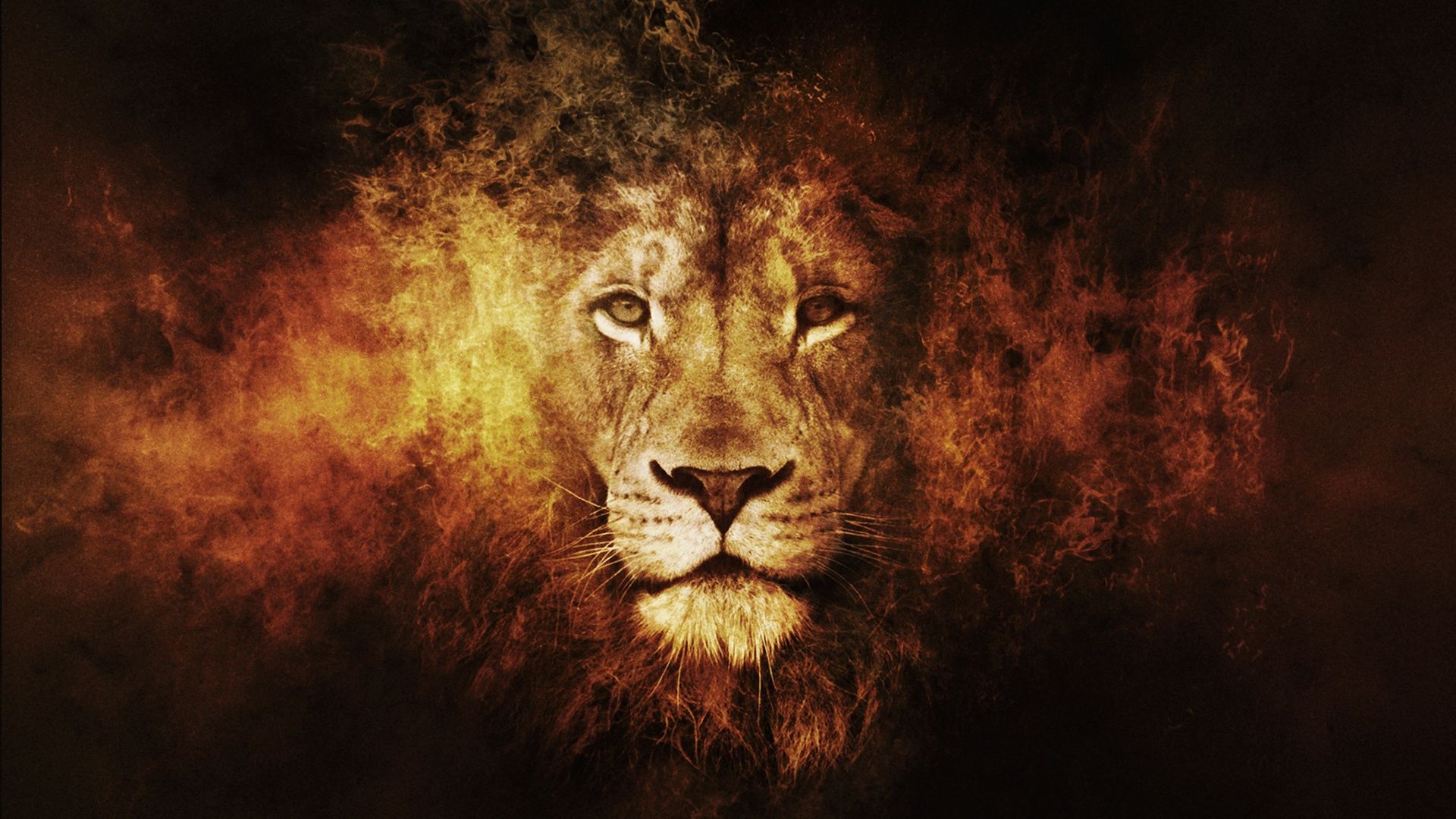 desktop lion HD wallpaper 1080p. Lion artwork, Lion HD wallpaper, Lion picture