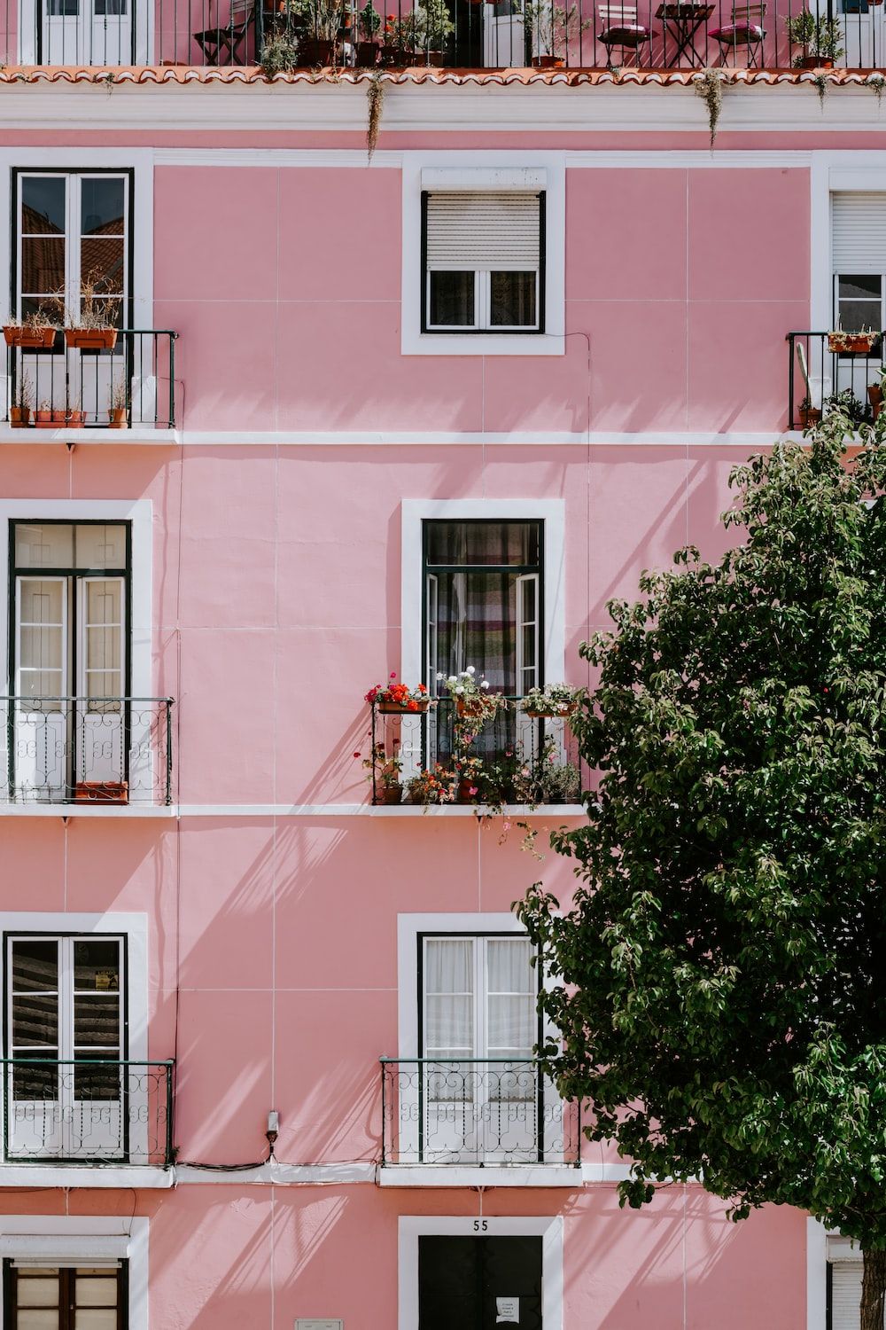 Pink Architecture Picture. Download Free Image