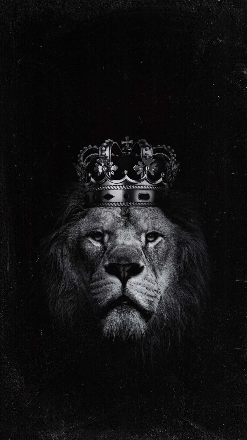 Lion Crown IPhone Wallpaper HD Wallpaper : iPhone Wallpaper. Lion wallpaper iphone, Lion HD wallpaper, iPhone wallpaper HD nature