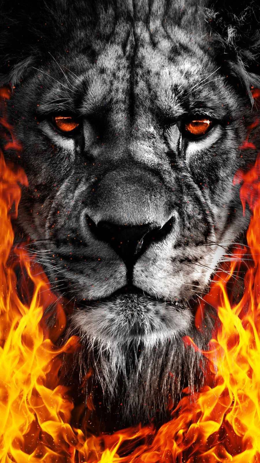 Download Black And White Fire Lion Wallpaper