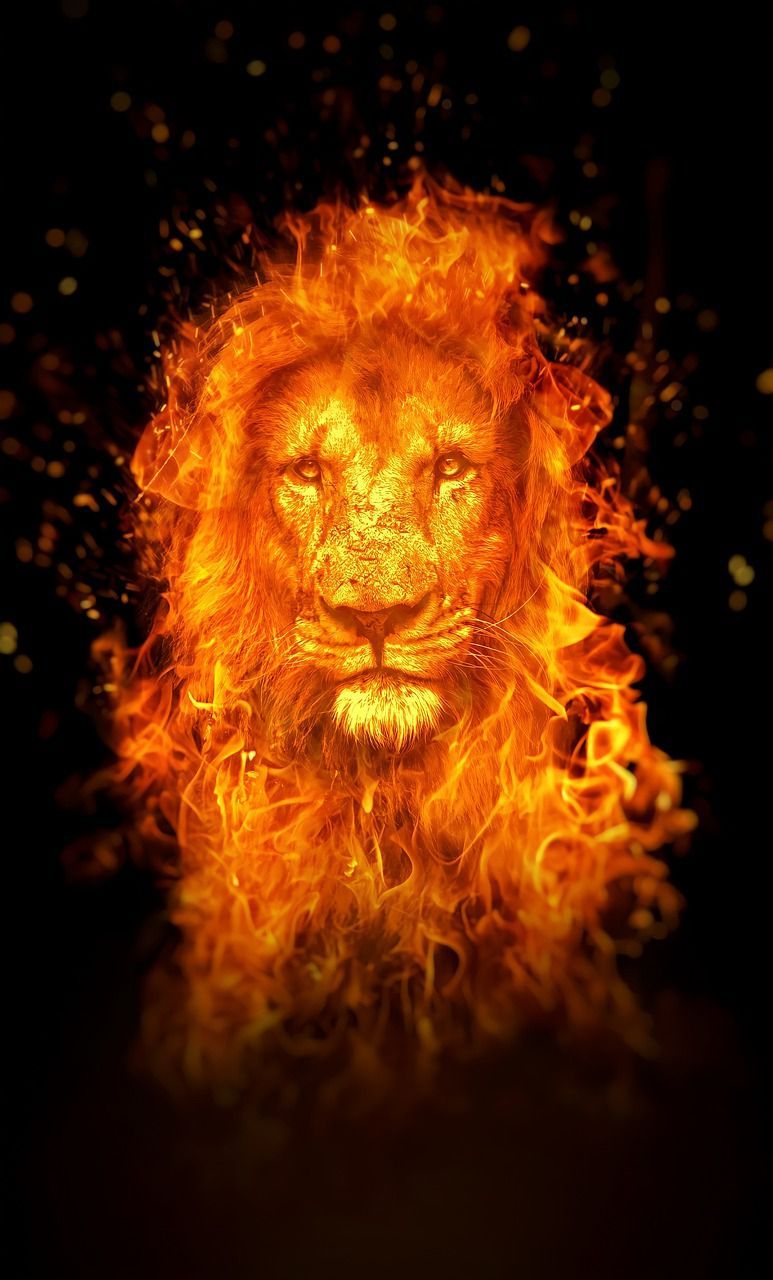 Download Lion Fire Wallpaper Royalty Free Stock Illustration Image