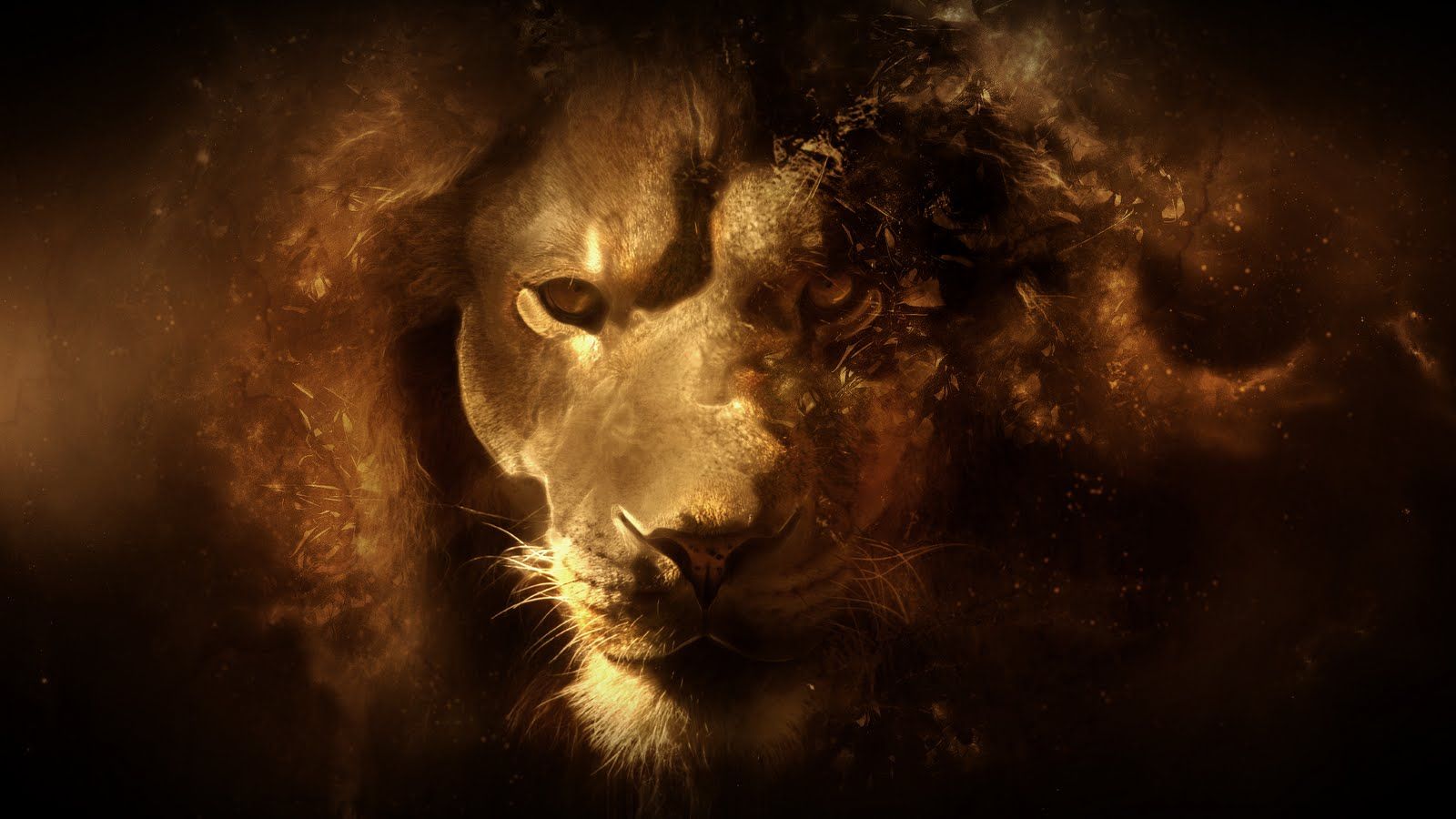 HD 4K Lion Wallpaper 1080p For Desktop (2020)