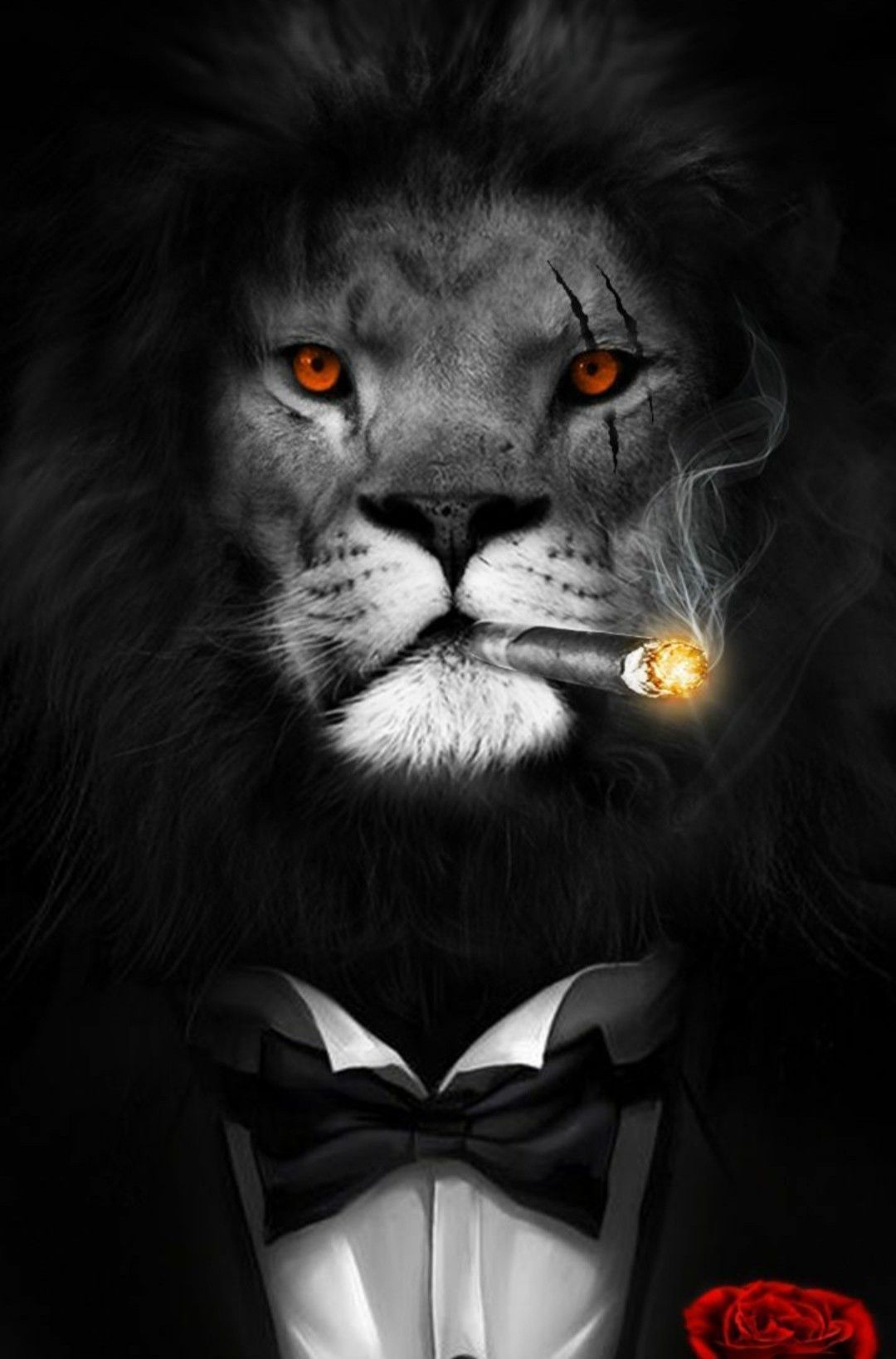 Lion Wallpaper