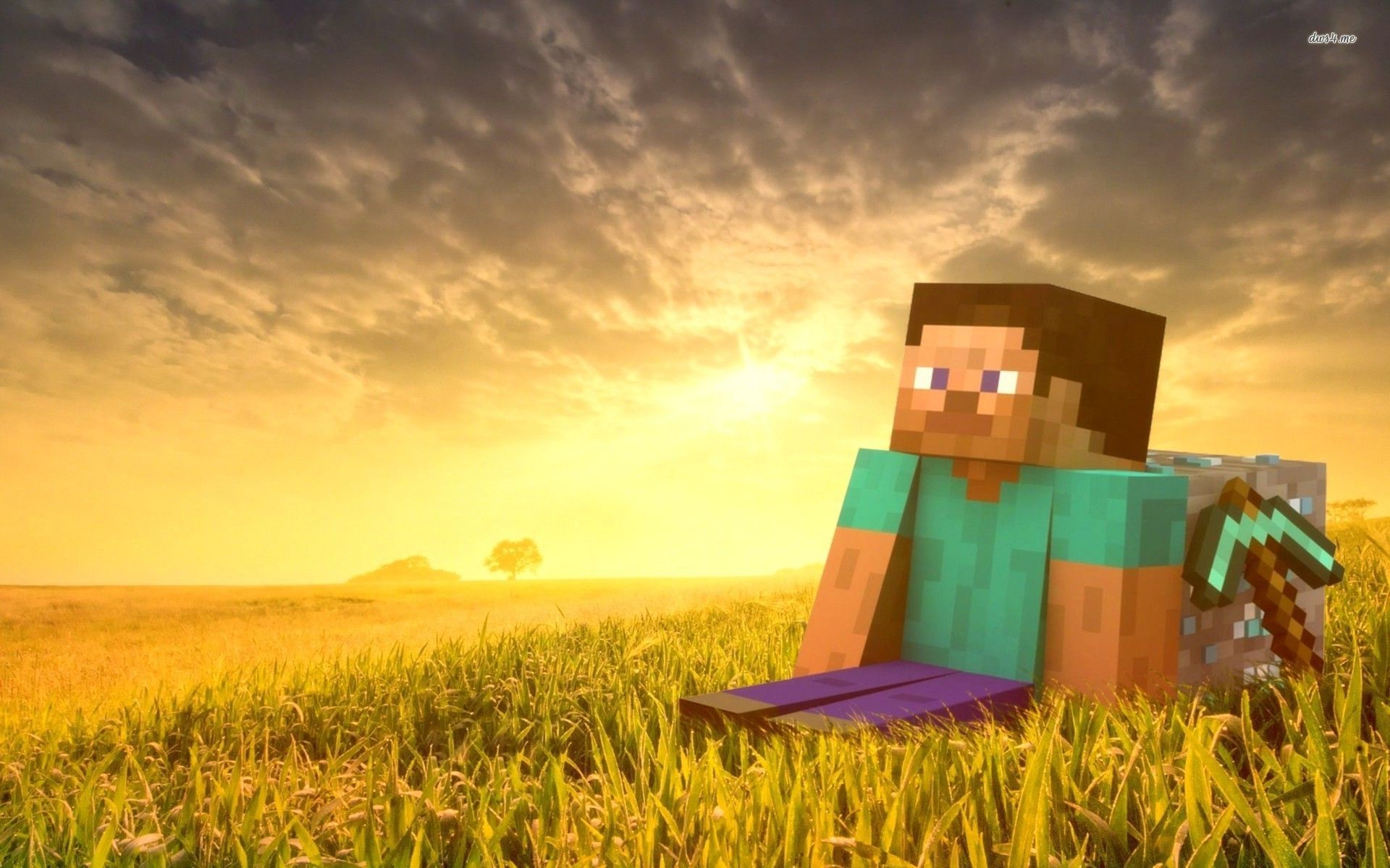 Steve HD wallpaper. Minecraft wallpaper, Wallpaper maker, Minecraft steve