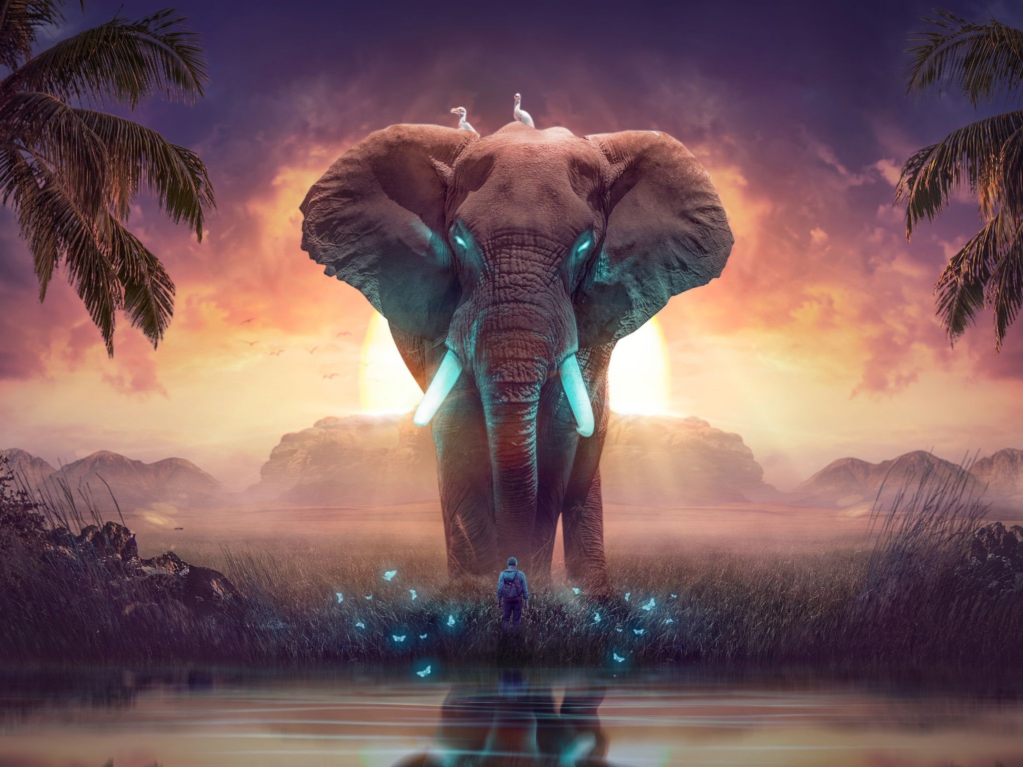 Elephant Wallpaper 4K, Dream, Mysterious, Surreal