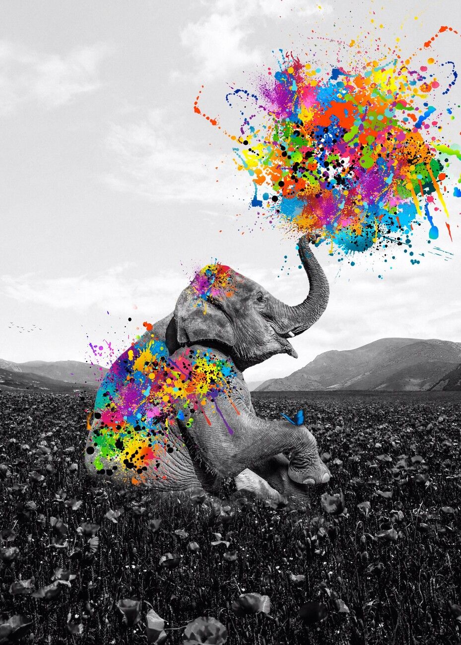 Elephant playing with paint colors Wall Mural