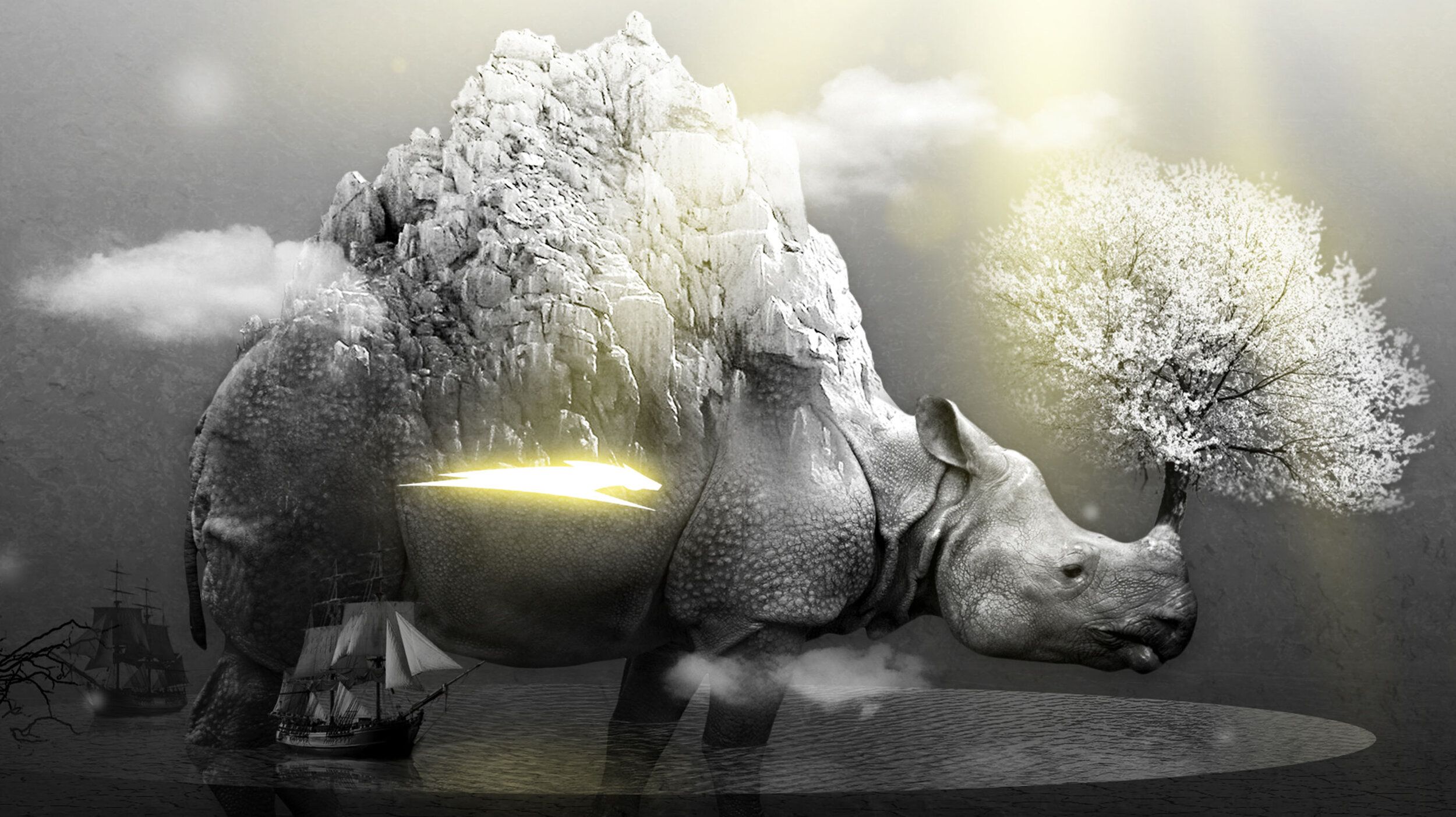 Rhino Wallpaper