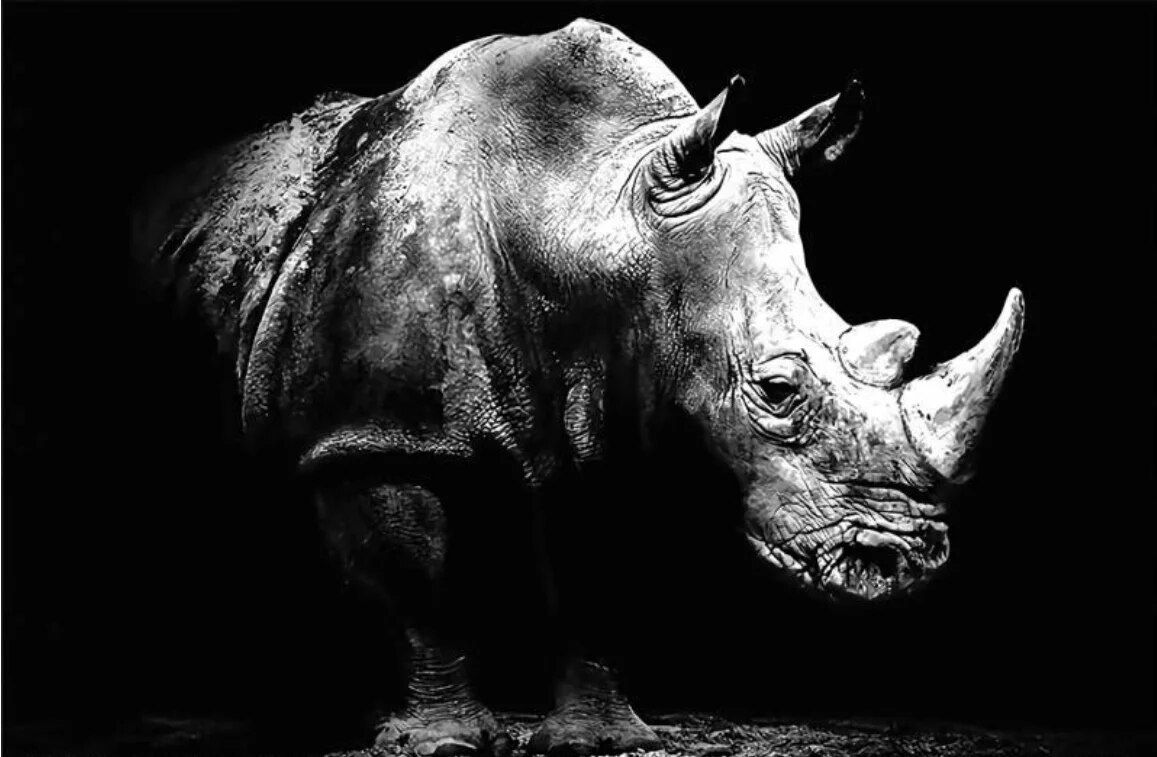 Home decoration wallpaper rhinoceros broken wall TV background murals home decor living room bedroom children room wallpaper