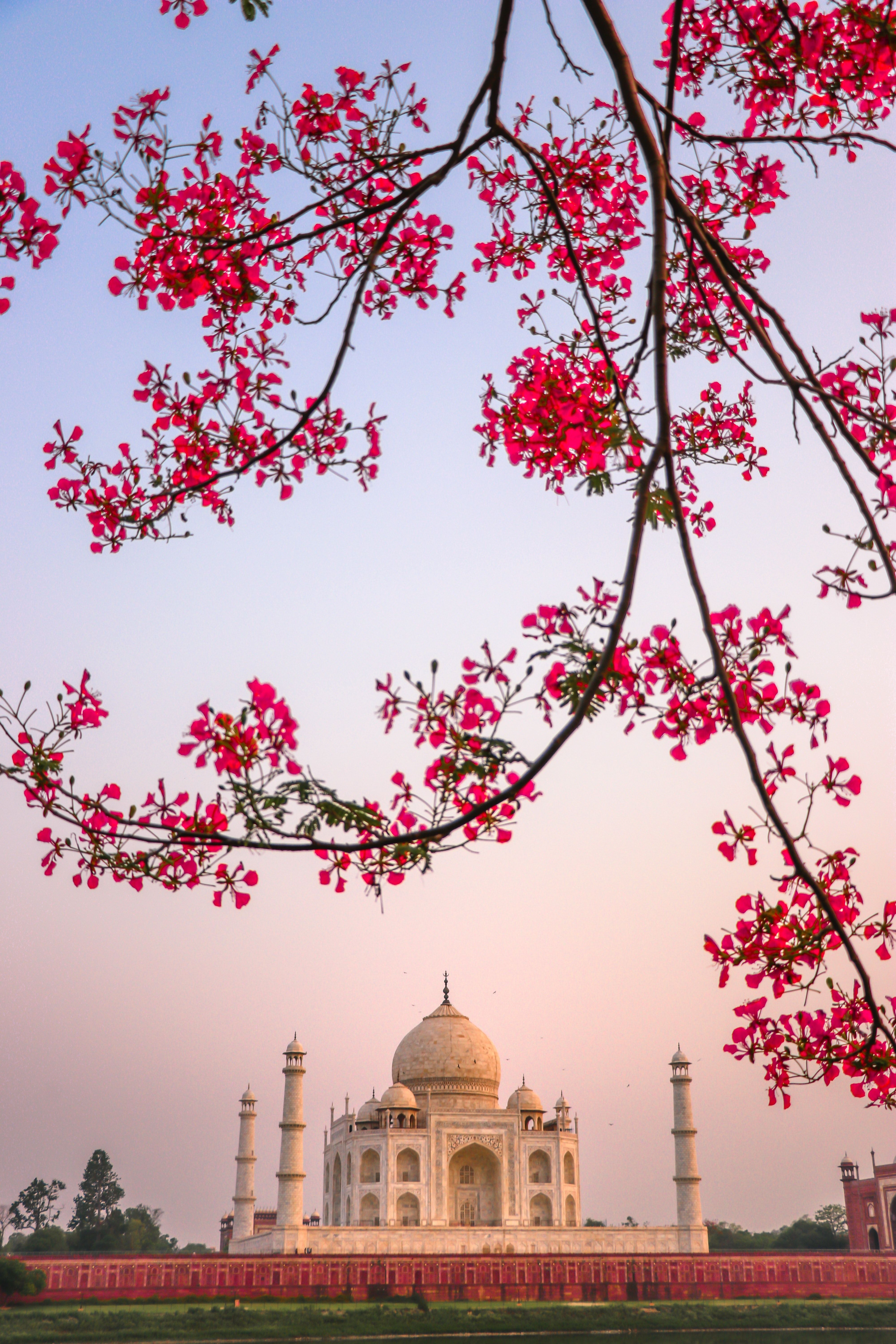 Amazing Taj Mahal Mausoleum during Daytime · Free