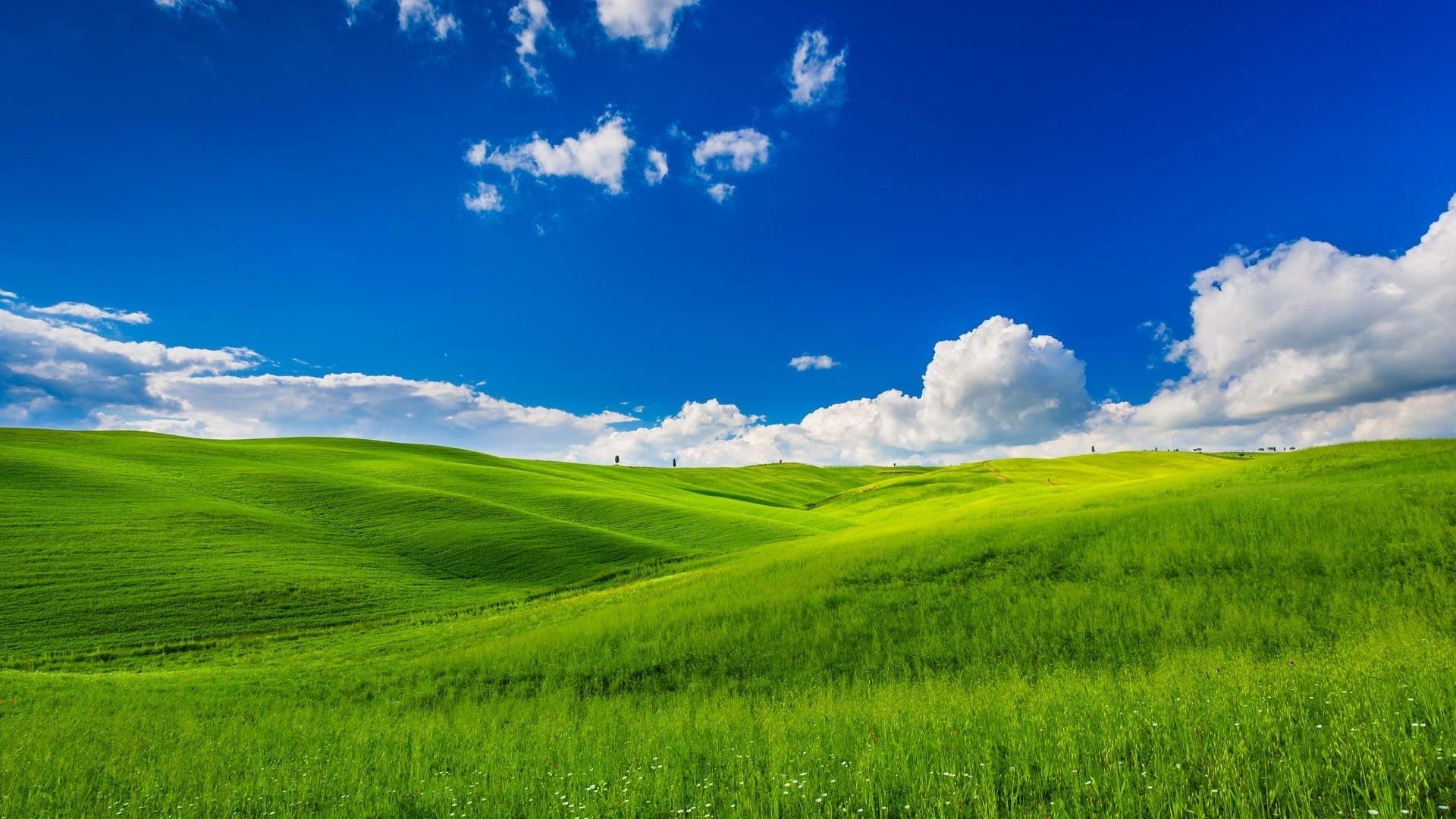 Nature Green Landscape Blue Sky HD Wallpaper