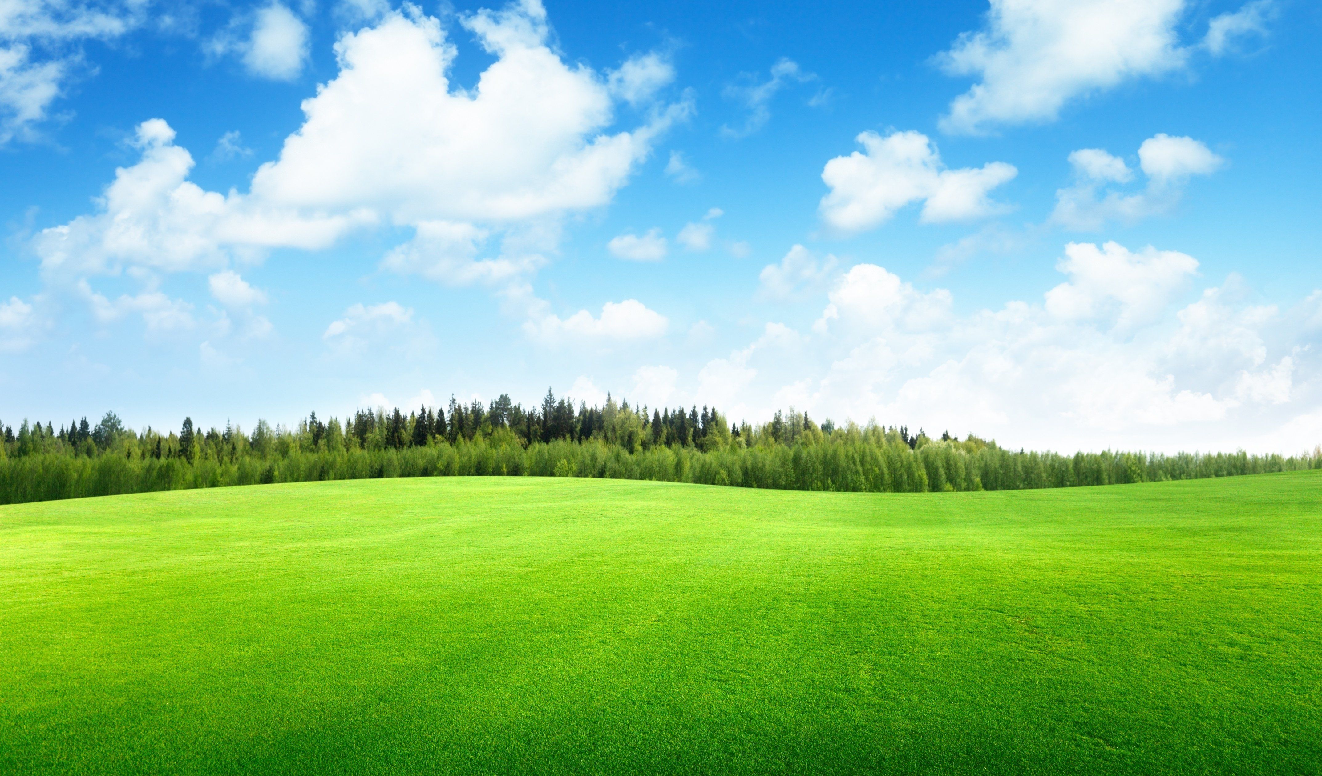 Clouds trees field of grass beautiful nature landscape sky wallpaperx2522