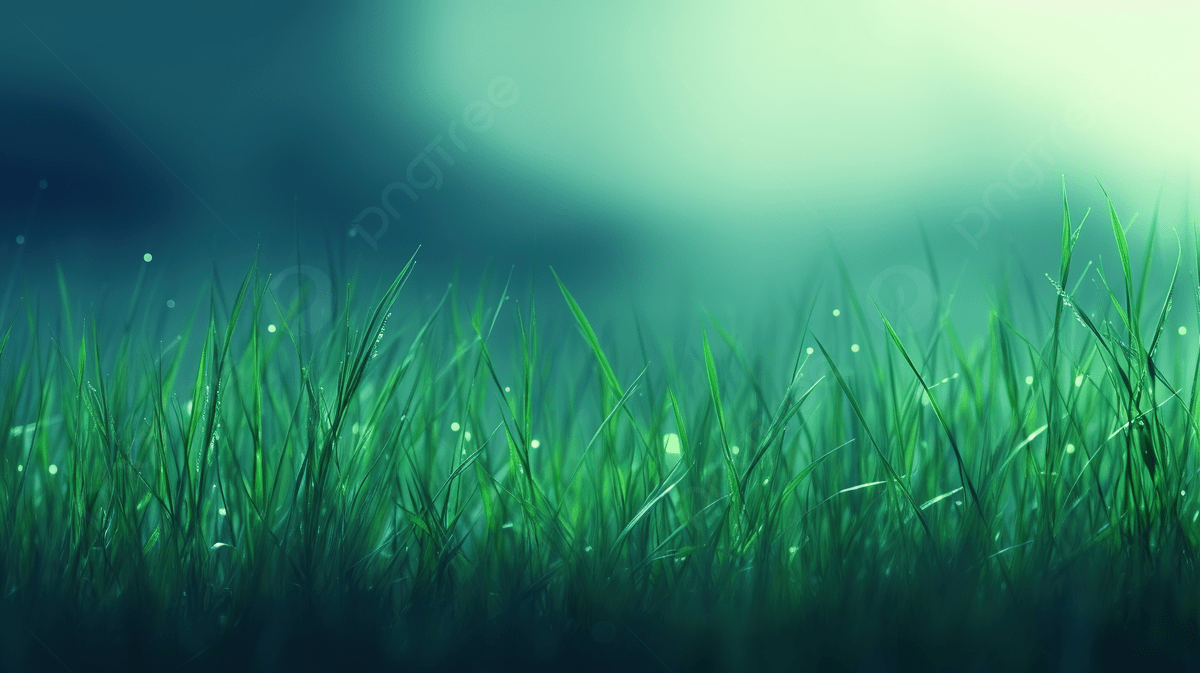 Background HD And Wallpaper The Wallpaper Of Grass And Water With The Light And Lights In The Background, Clean Picture Background Background Image And Wallpaper for Free Download