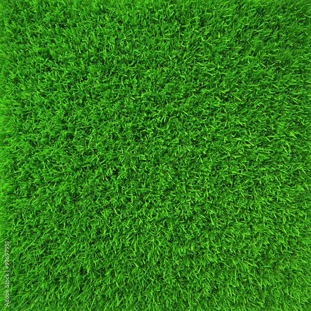 Green Lawn Grass Background Texture Close Up. 3D Render