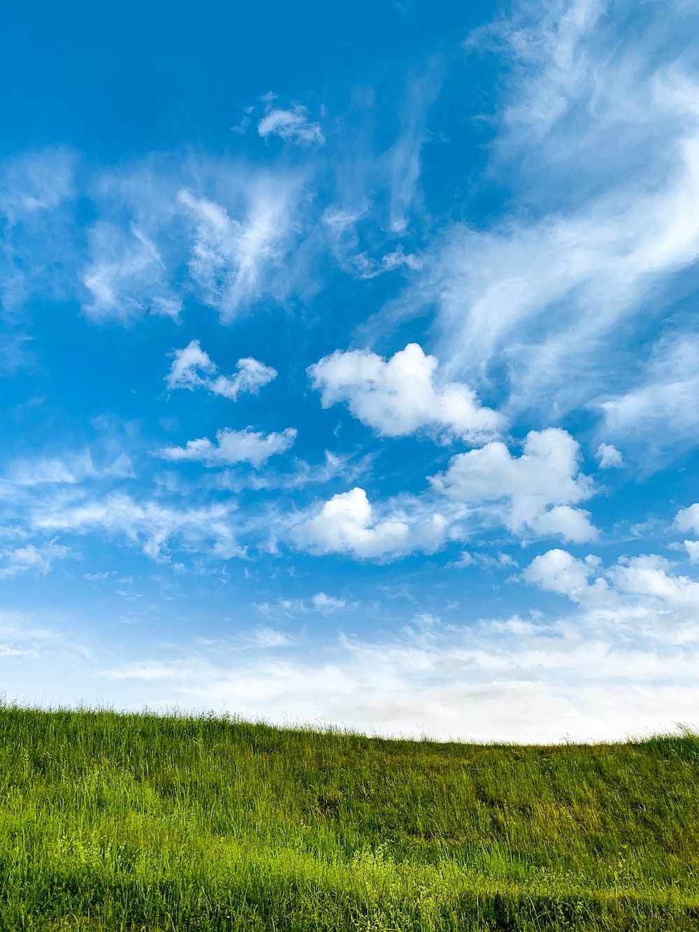 Green grass field under blue sky and white clouds during daytime photo