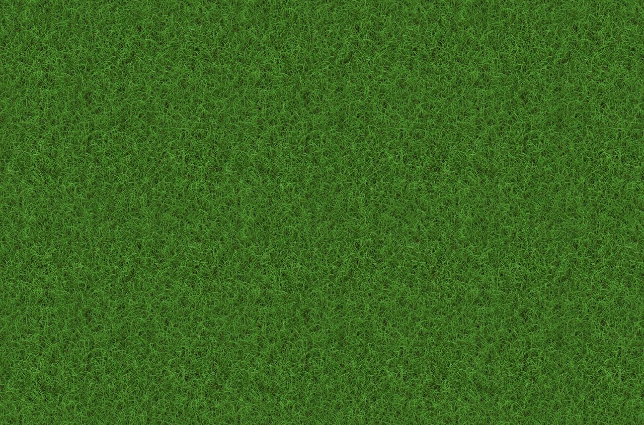 Lawn Grass Texture