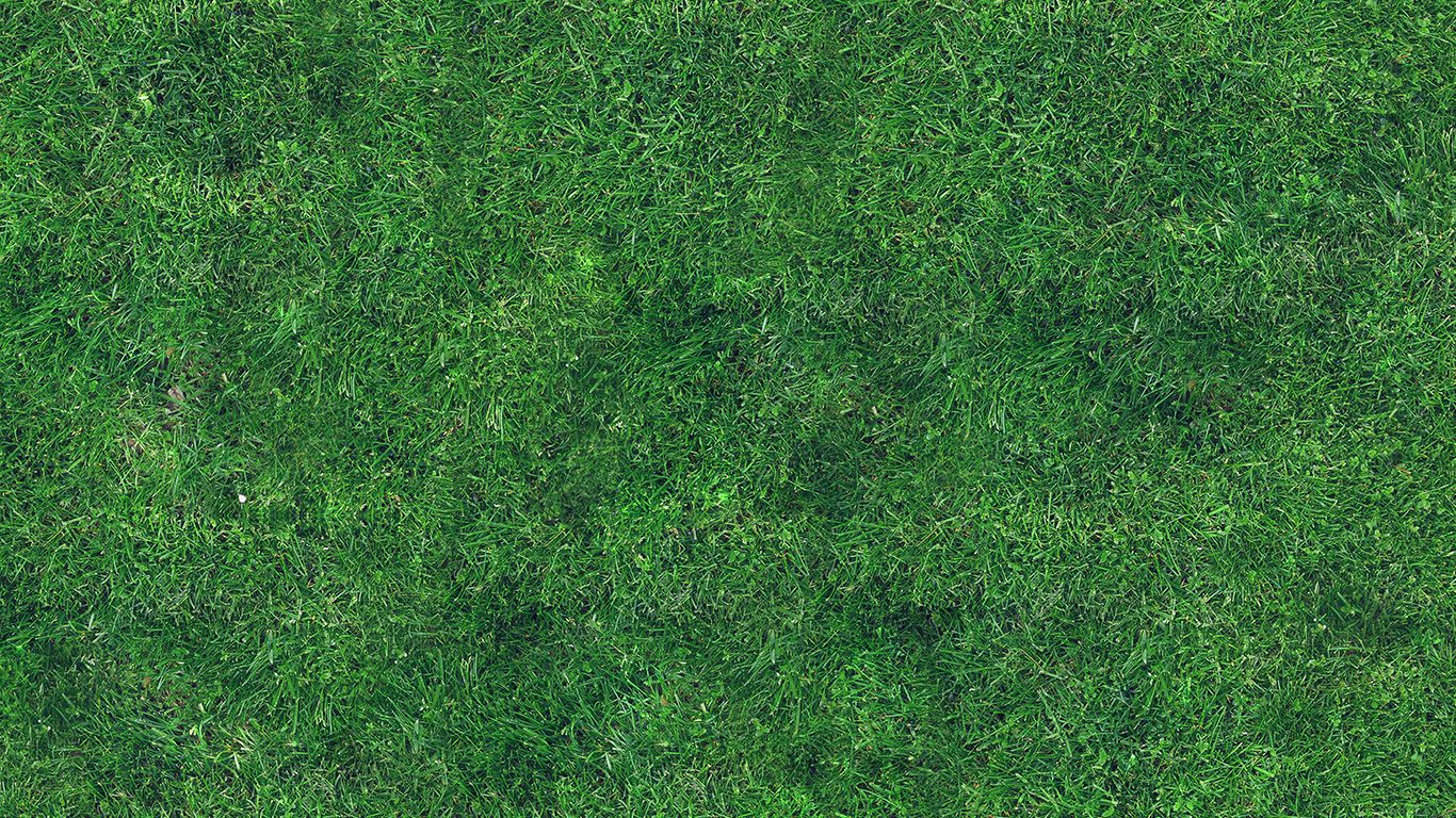 wallpaper for desktop, laptop. grass texture nature pattern