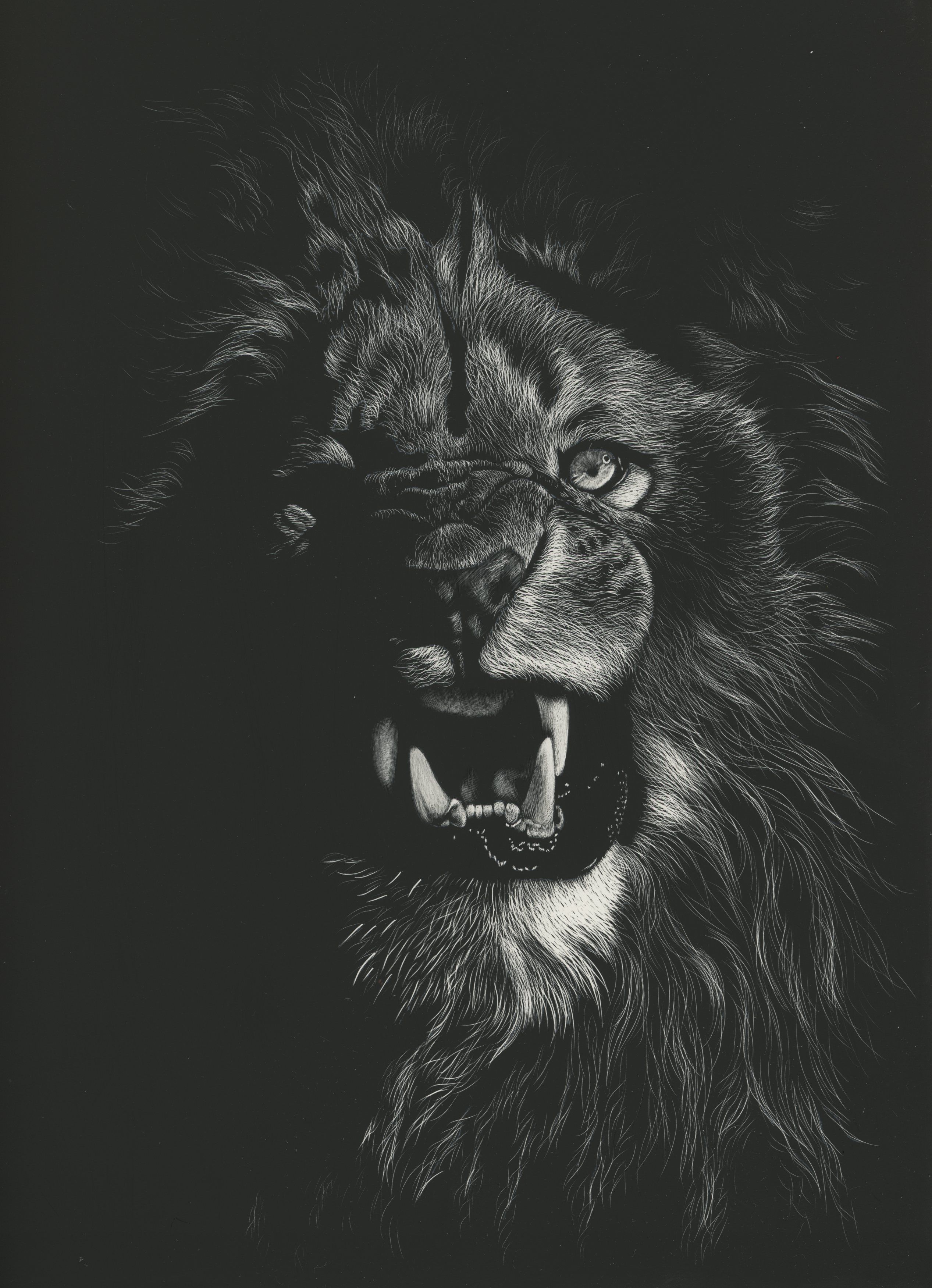 Download Lion wallpaper for mobile phone, free Lion HD picture - lion