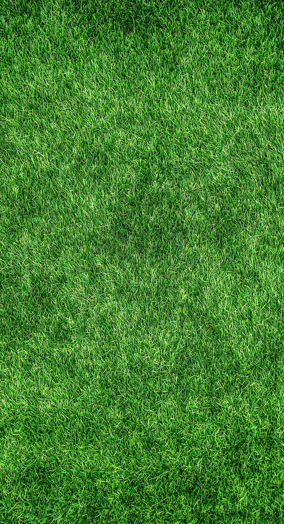 Lawn 1080P, 2K, 4K, 5K HD wallpaper free download