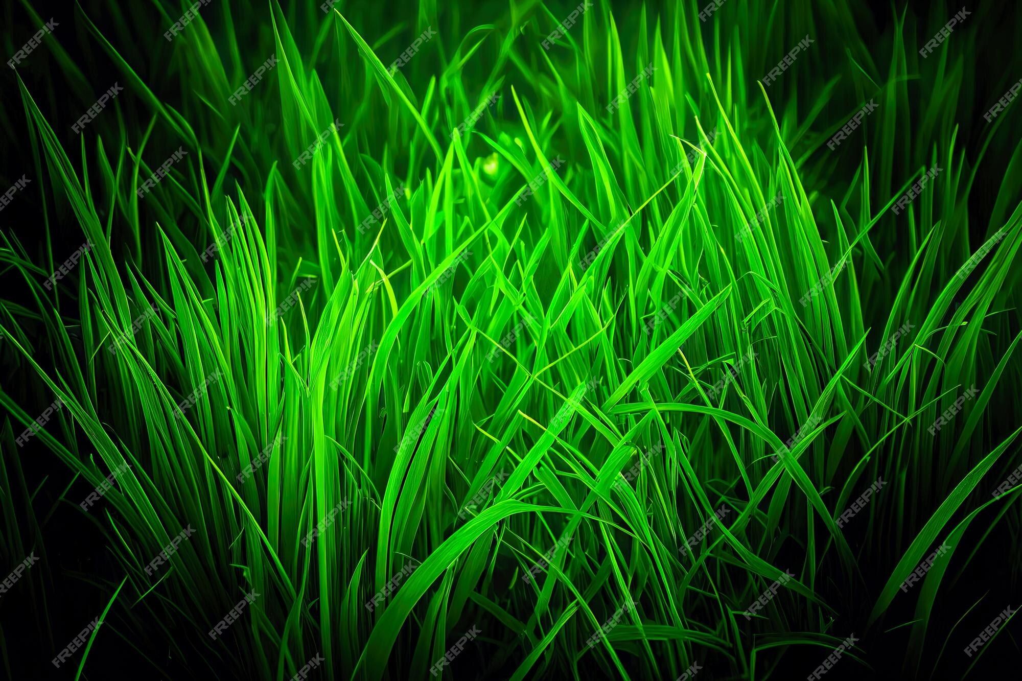 Premium Photo. Green grass wallpaper that are high definition