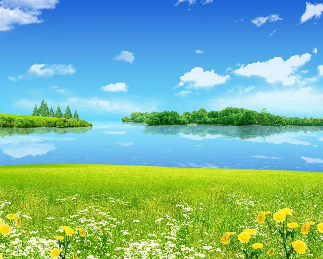 Summer Landscape Meadow With Green Grass Wild Flowers Blue Sky Reflection In Lake Desktop HD Wallpaper For Mobile Phones Tablet And Pc : Wallpaper13.com