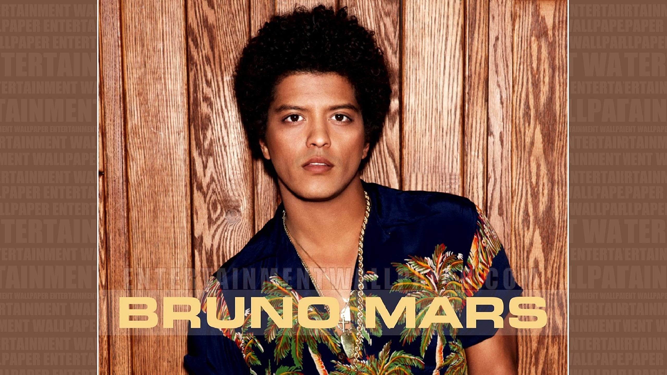 Vintage wallpaper Bruno Mars, print Bruno Mars, Pop art Bruno Mars, decoration Bruno Mars, gifts Bruno Mars, print of a famous pop producer, music poster, Vintage musician : ca: Home