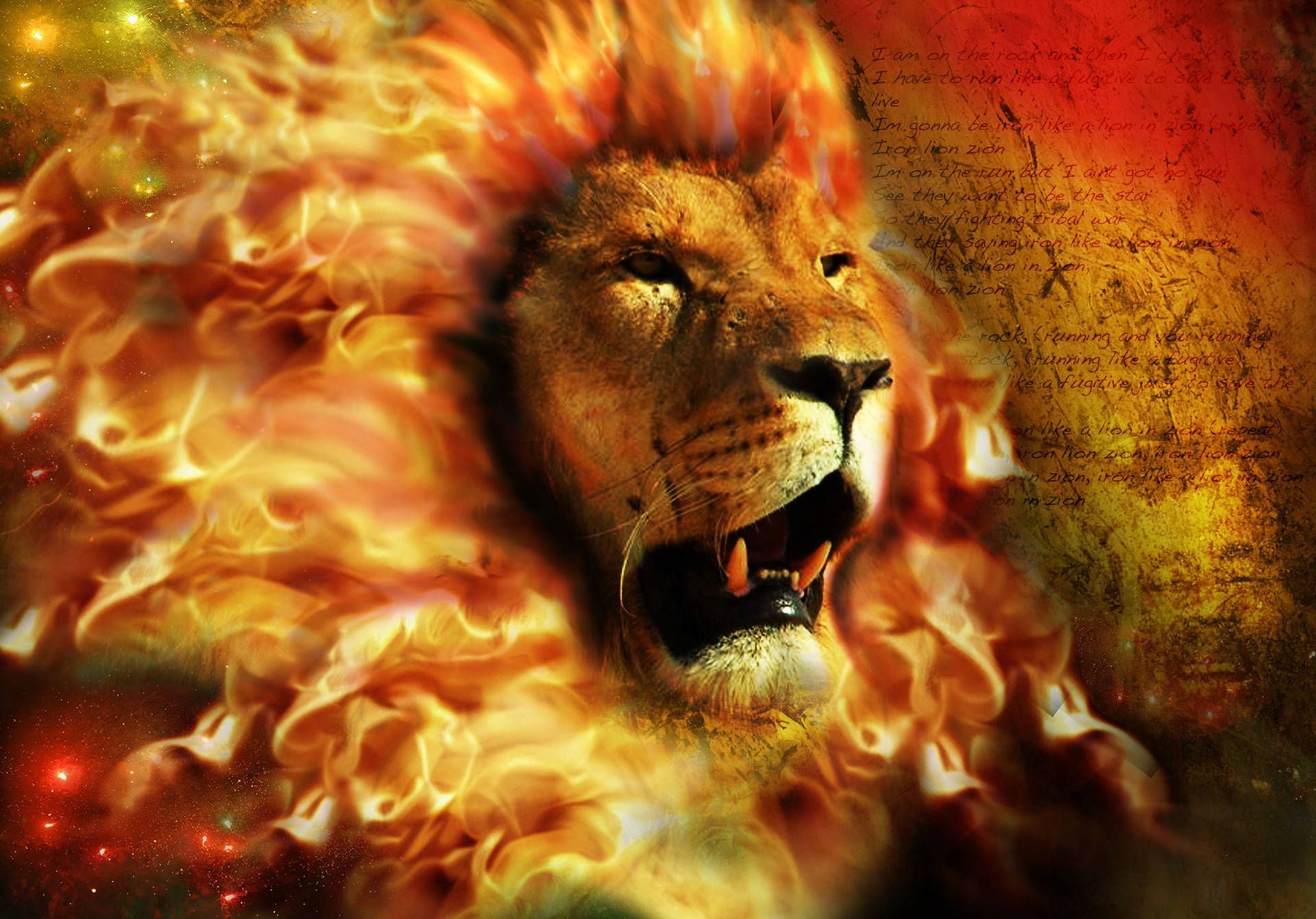 Fire Lion Wallpaper - lion