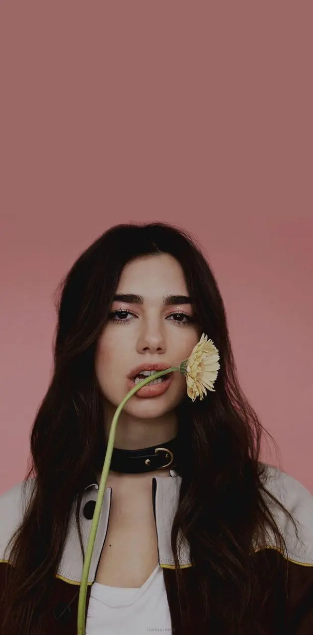 Dua Lipa wallpaper