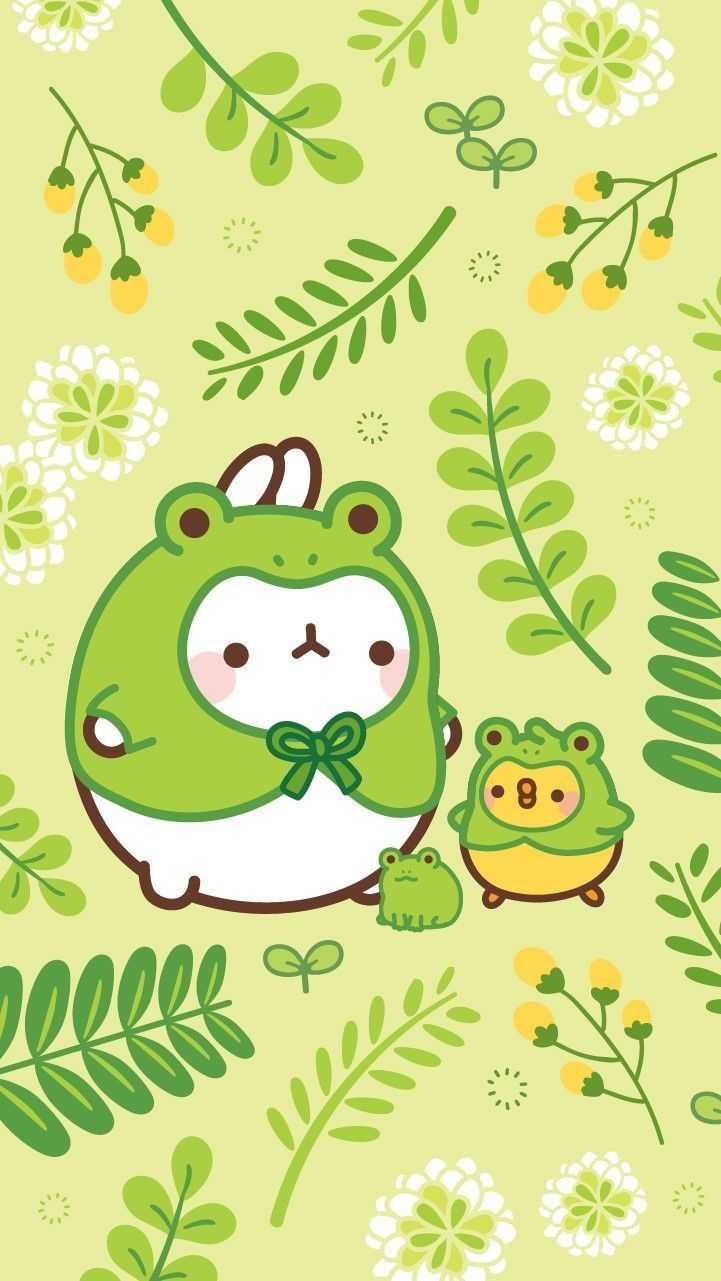 Frog Kawaii Wallpaper