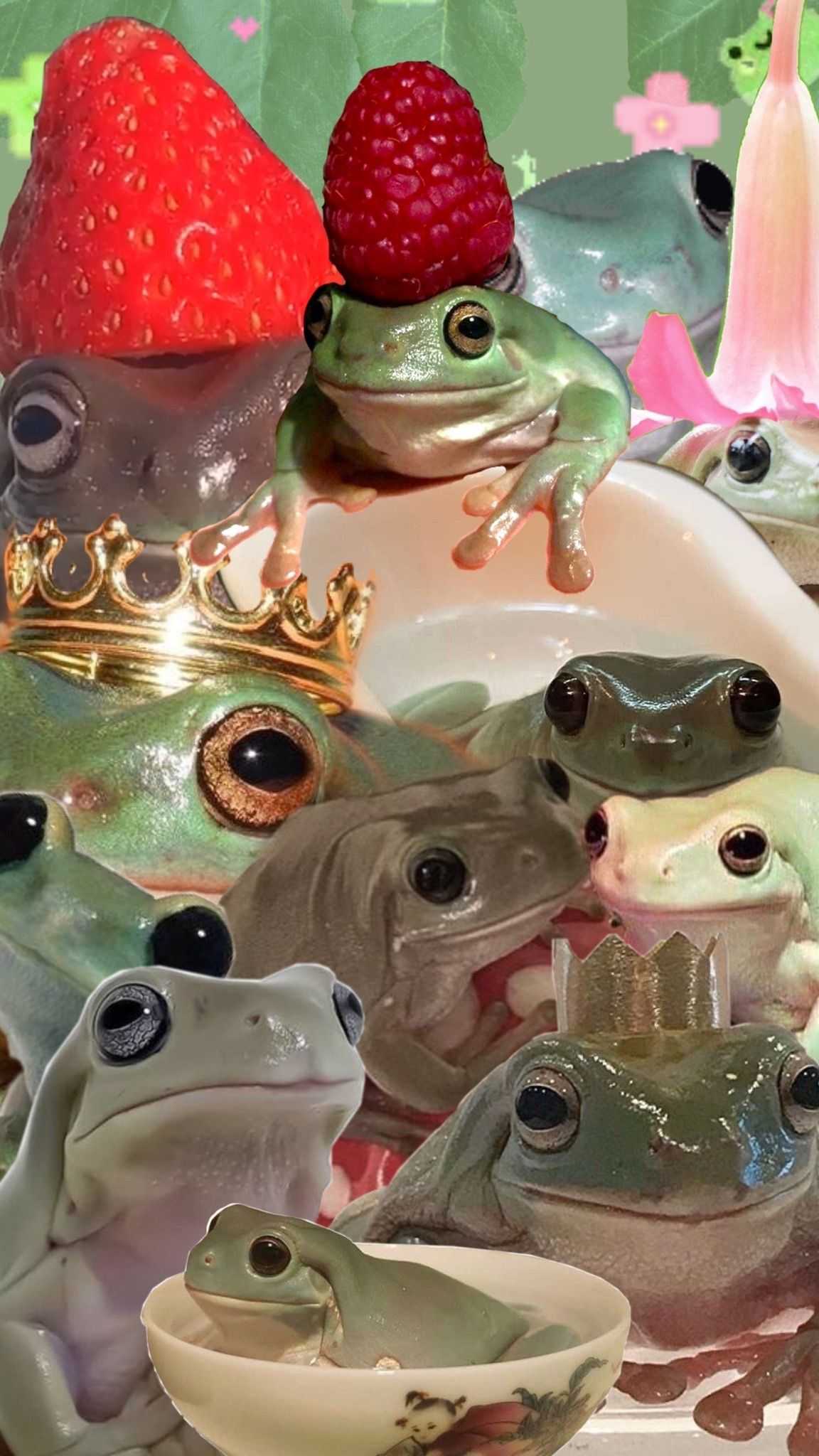 Frog Cute Wallpaper