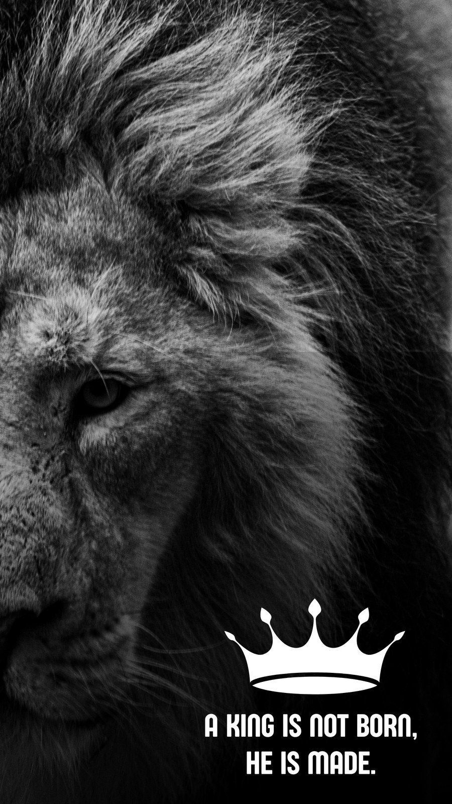 Free and customizable wallpaper lion templates