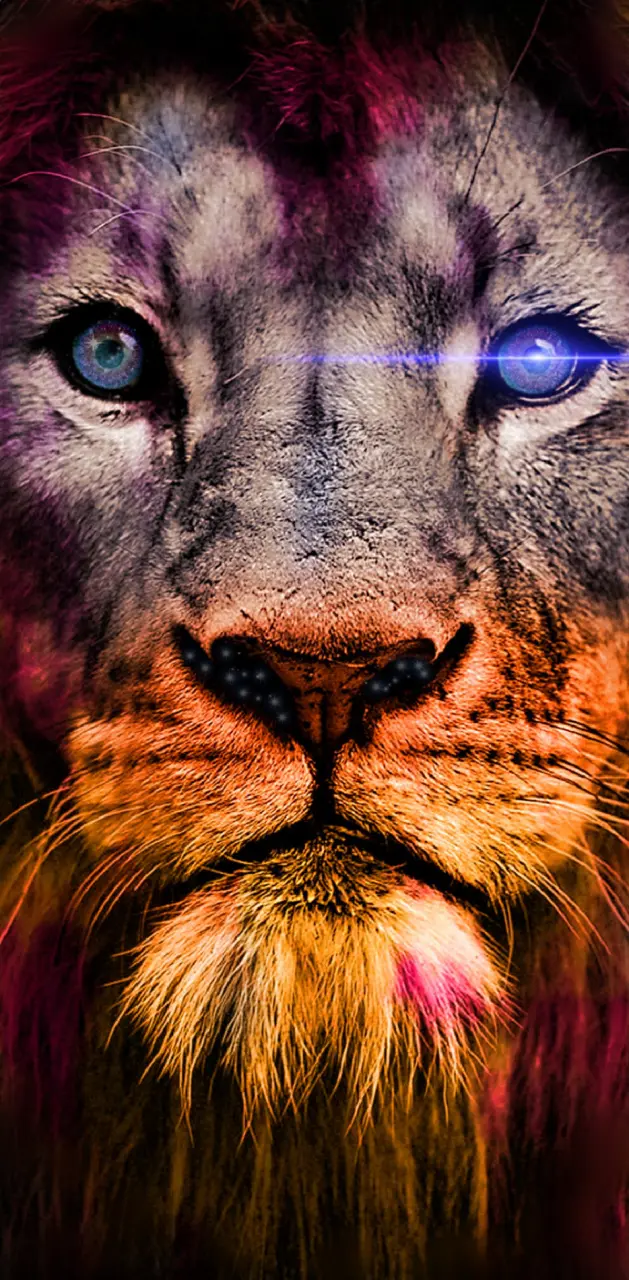 Galaxy lion wallpaper