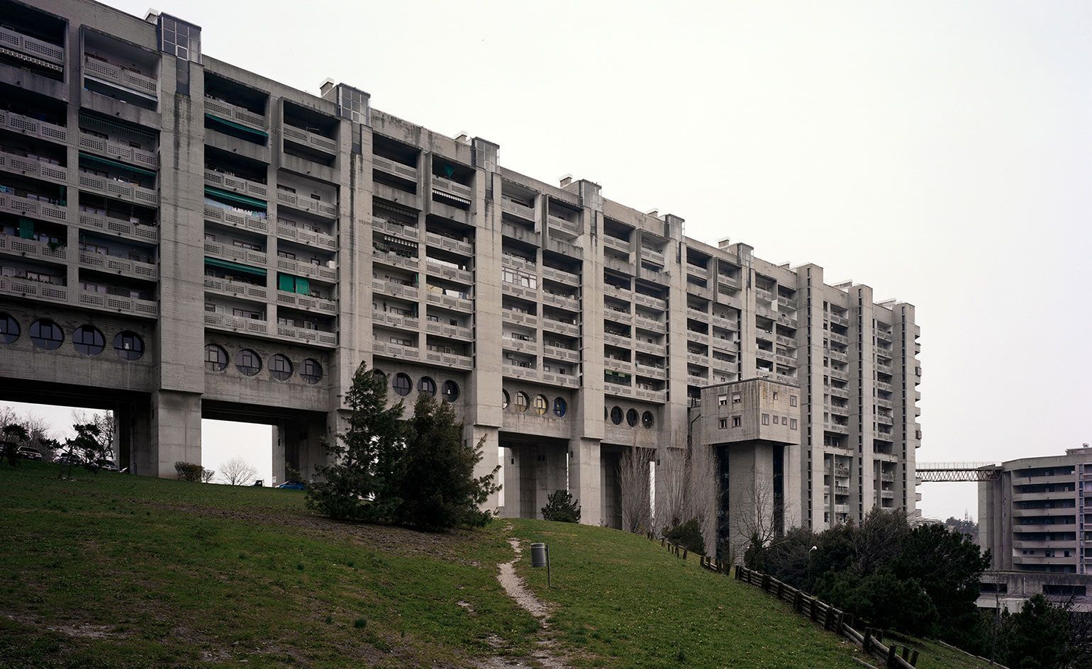 Brutalist book club