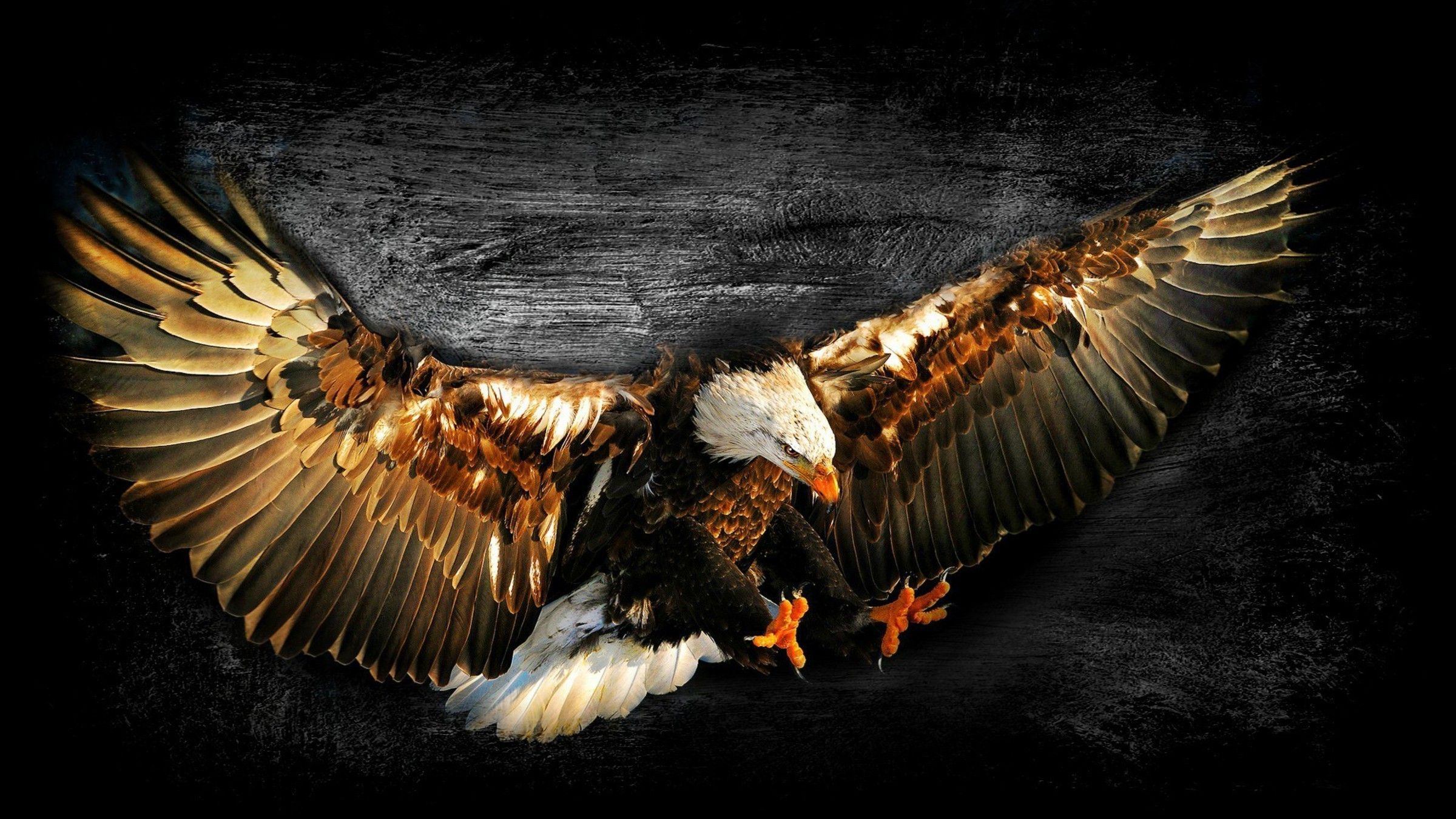 Update fire eagle wallpaper super hot.edu.vn