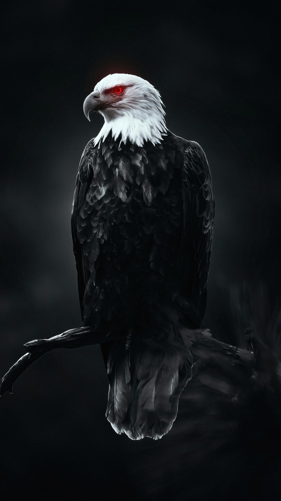 Eagle Wallpaper for Android Mobile Smartphone [Full HD]