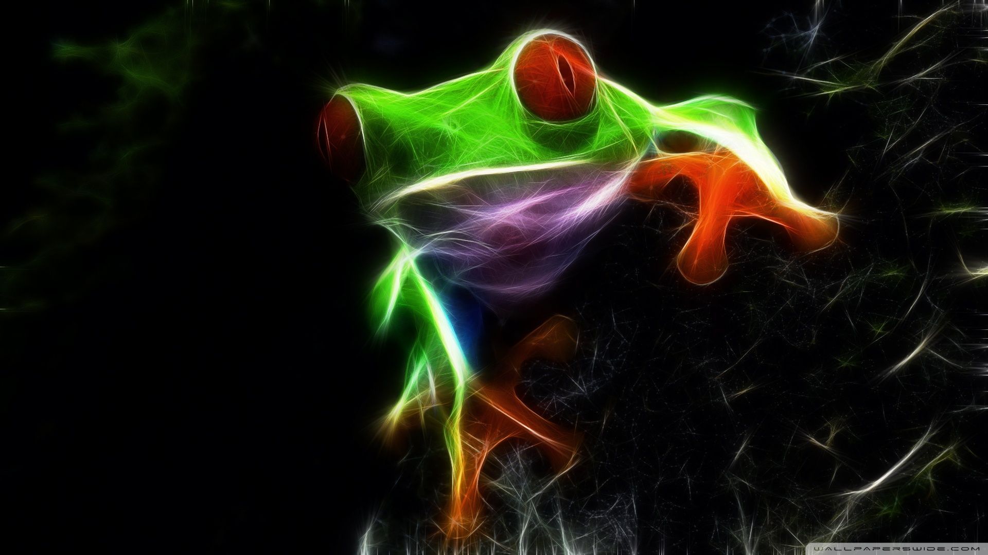 Frog Ultra HD Desktop Background Wallpaper for 4K UHD TV : Widescreen & UltraWide Desktop & Laptop : Tablet