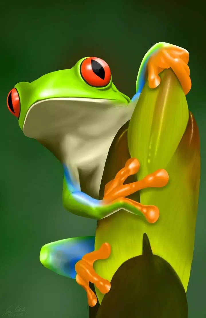 Frog Wallpaper Frog APK for Android Download