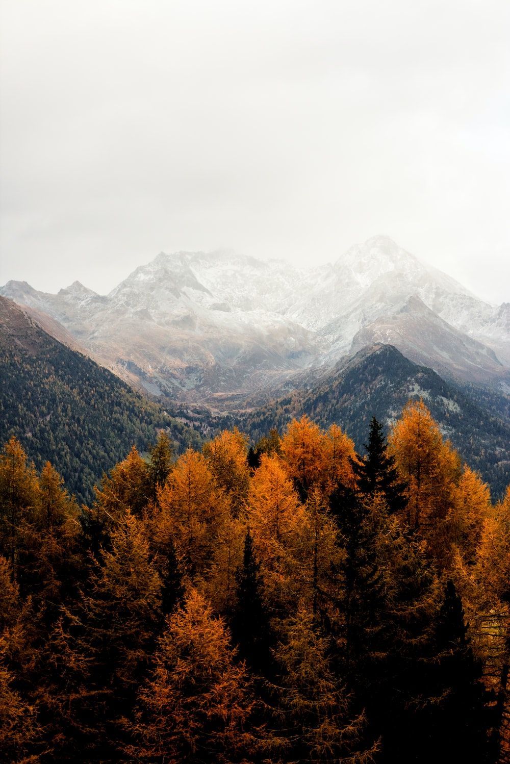 Autumn Mountain Picture. Download Free Image