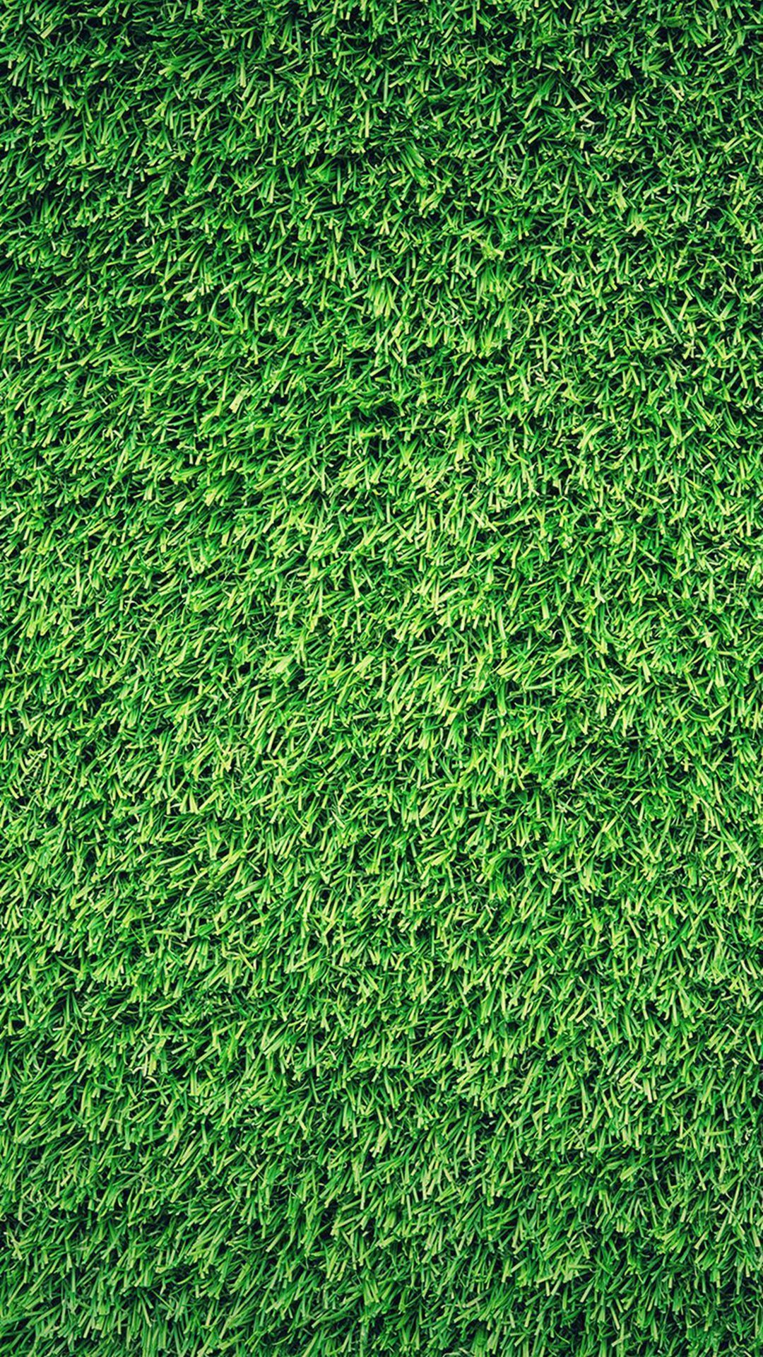 I don't have green grass in my yard due to the drought so I guess I'll have to settle for it on m. Nature iphone wallpaper, Grass wallpaper, Green wallpaper phone