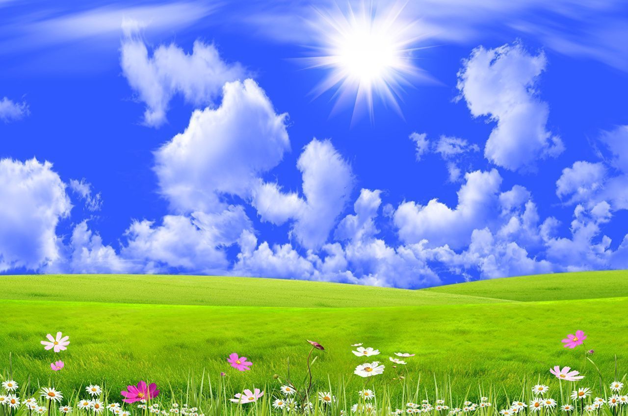 Desktop Wallpaper Nature Sky Grasslands Grass Clouds