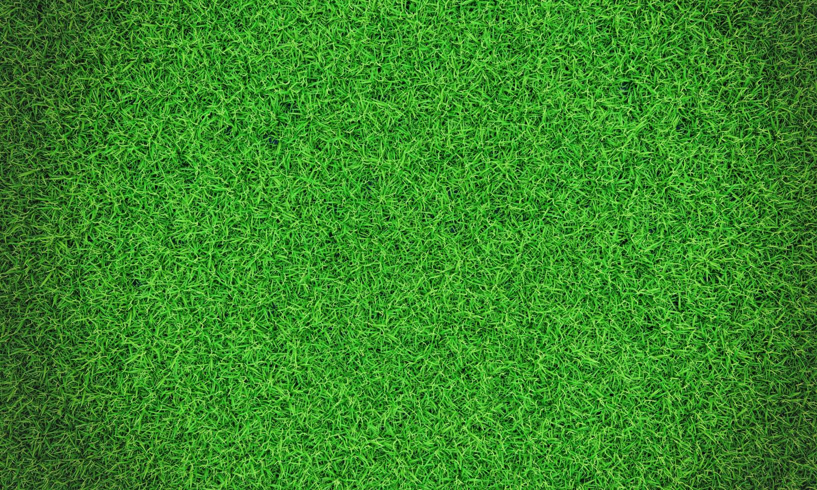 Grass Wall , Image and Background for Free Download