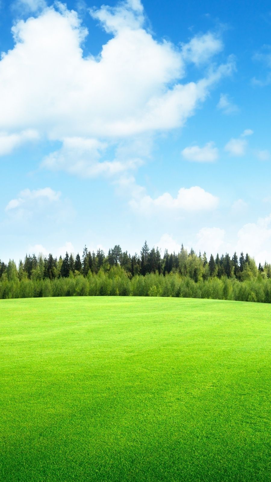 Green Grass Wallpaper