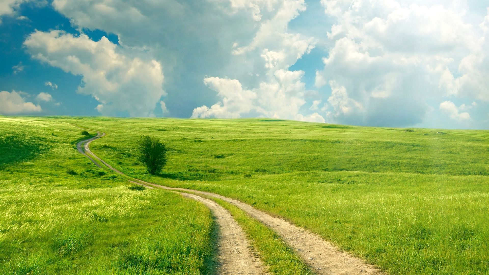 Summer Sky Field Grass Road Nature HD Wallpaper